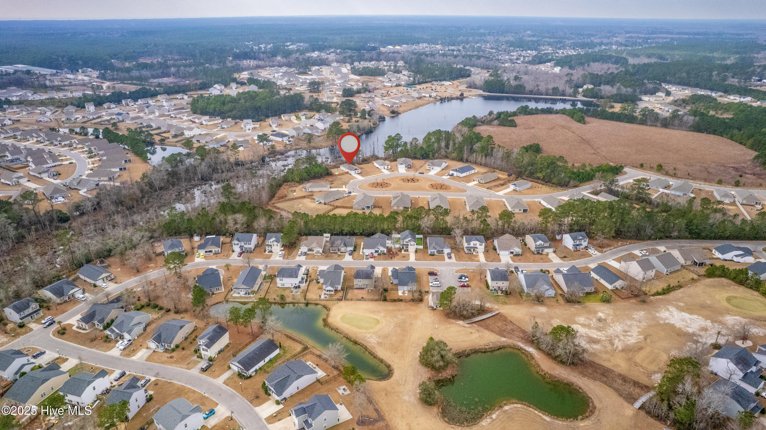 100566662 | Photo 21