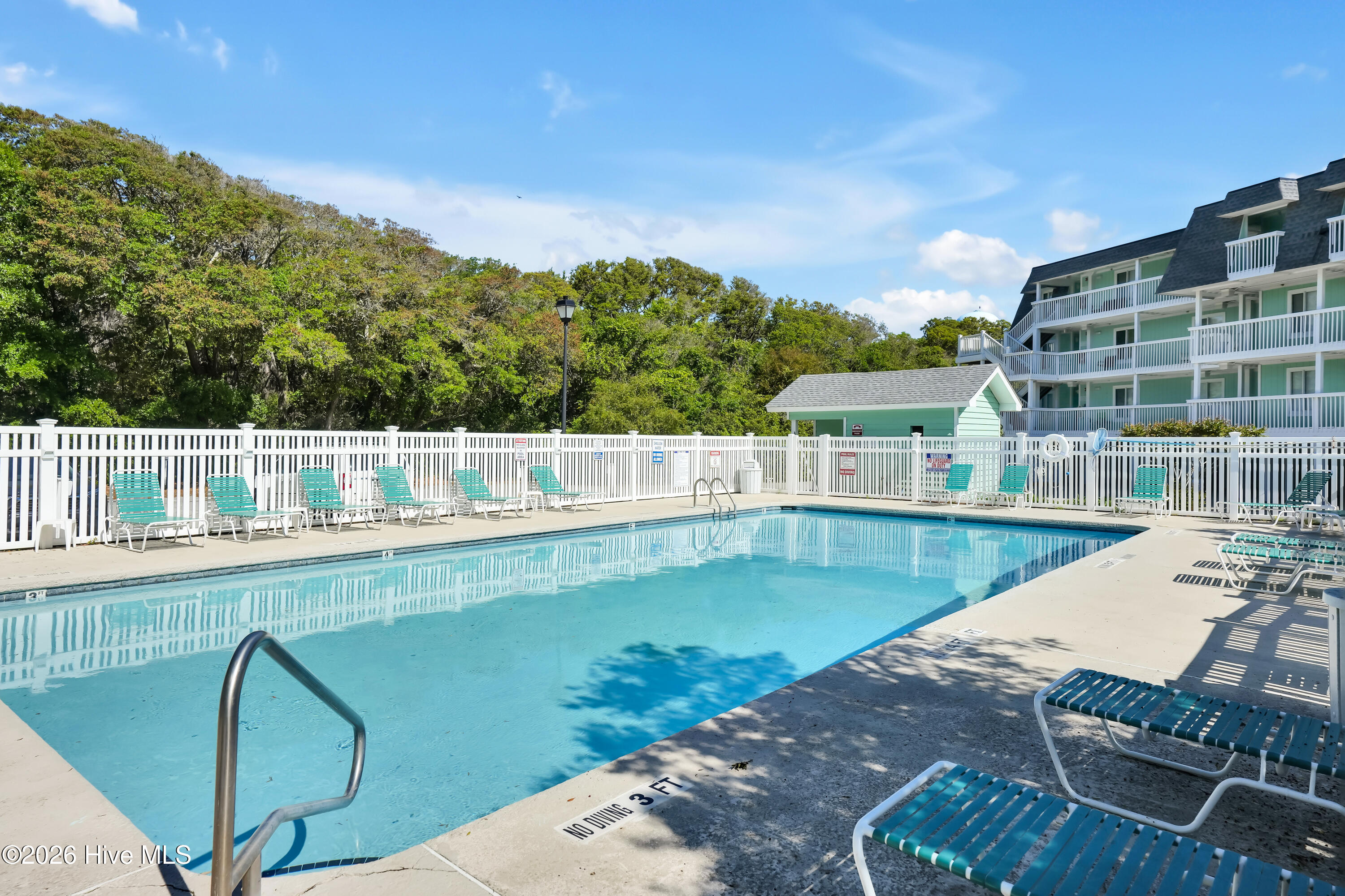 100568340 | Photo 34