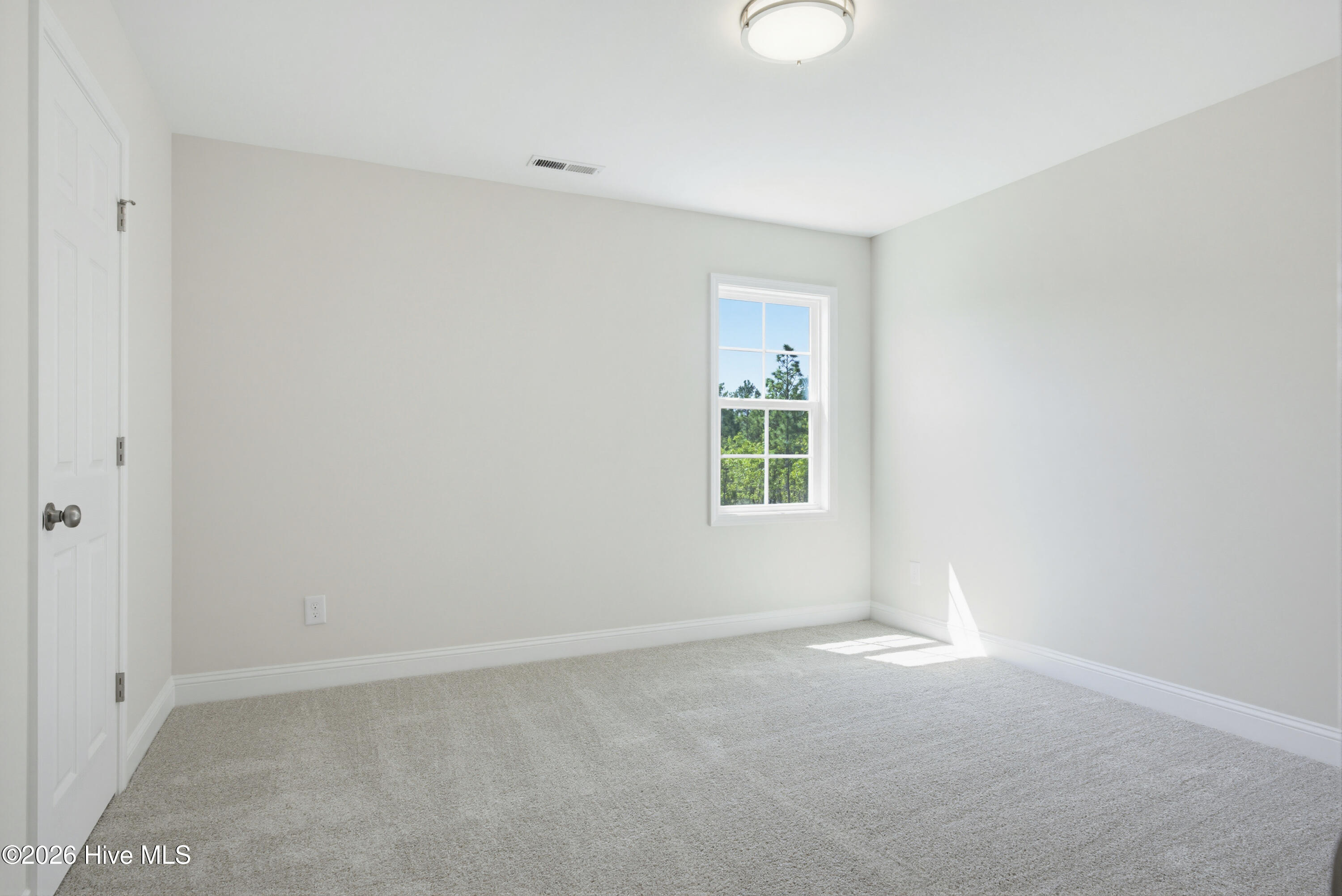 100567263 | Photo 14