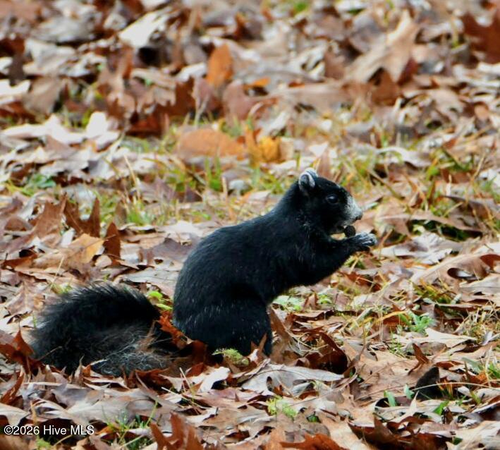 108 Farmington Road, Grimesland, NC, 27837