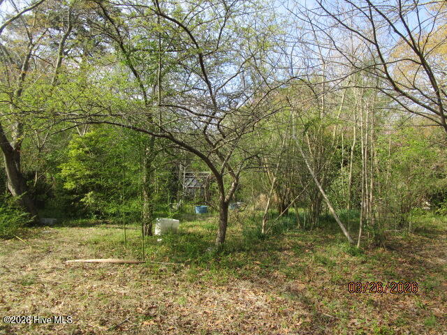 112 Baxter Grove Road, Moyock, NC, 27958