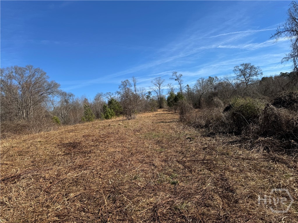 738 Old Mineral Springs Road, Elberton, GA, 30635
