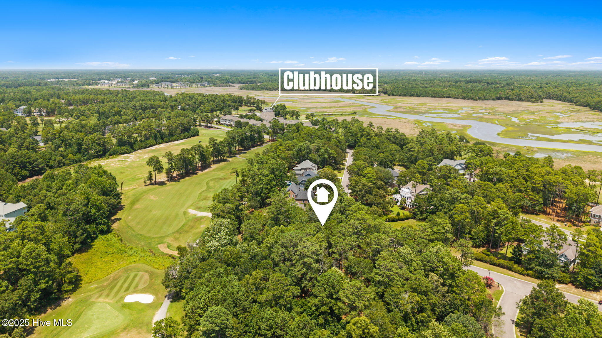 100520379 | Photo 11