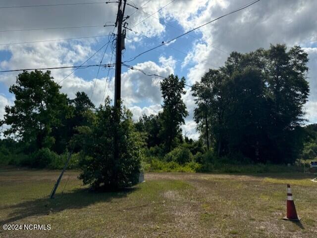 100569923 | Photo 12