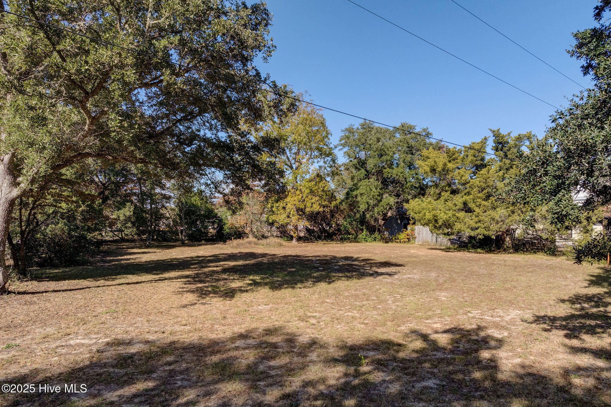 100540434 | Photo 14