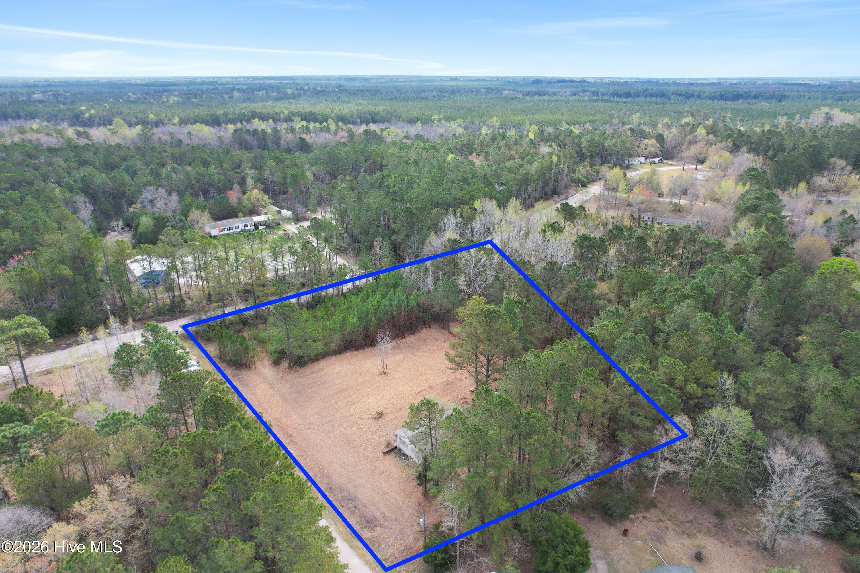 100563116 | Photo 18