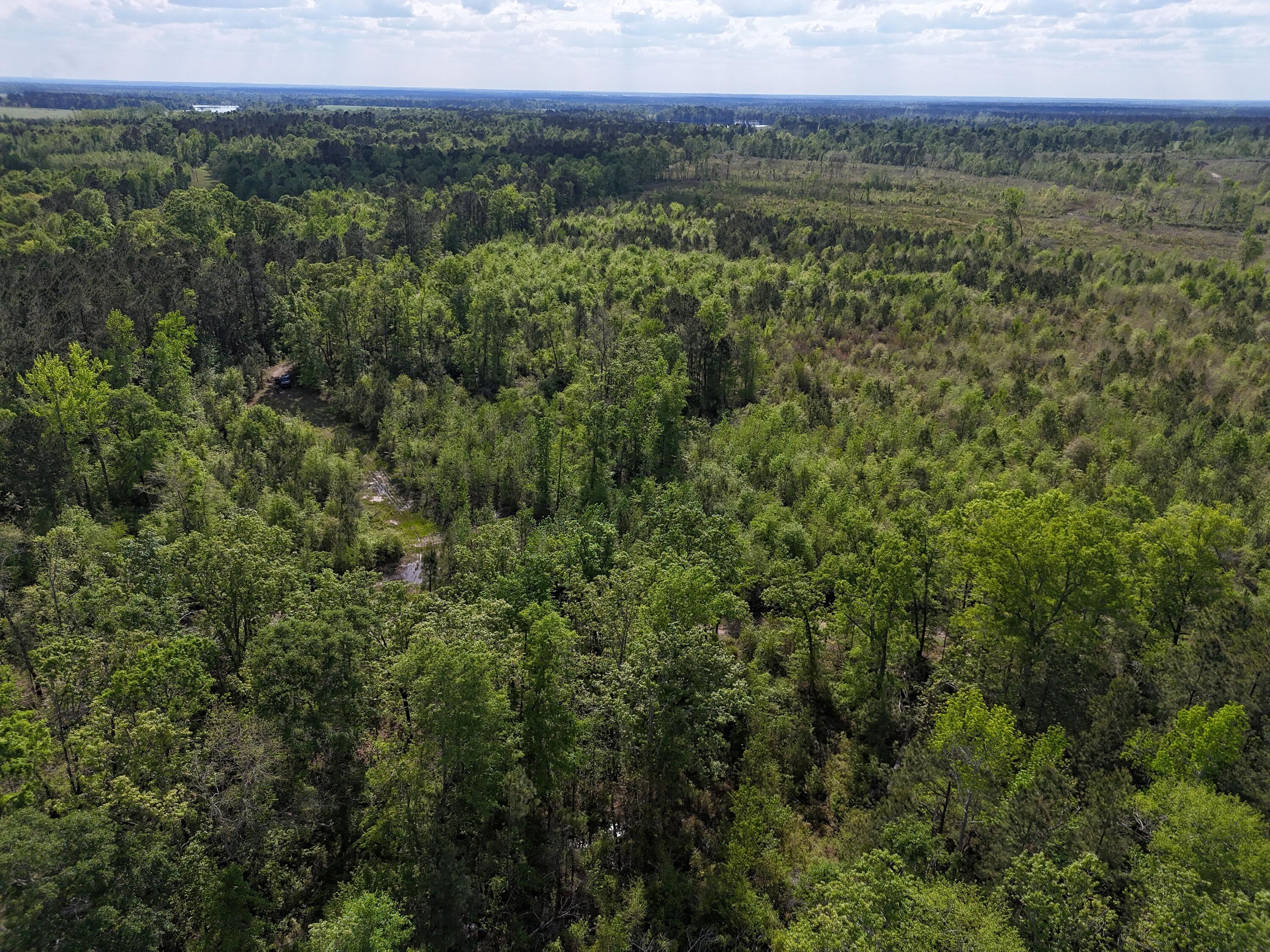 DJI_20250410044046_0023_D