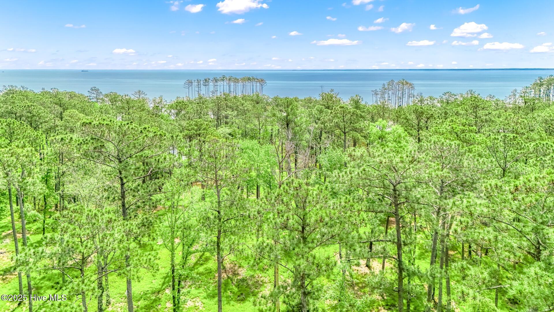 175 River Watch Road, Oriental, NC, 28571