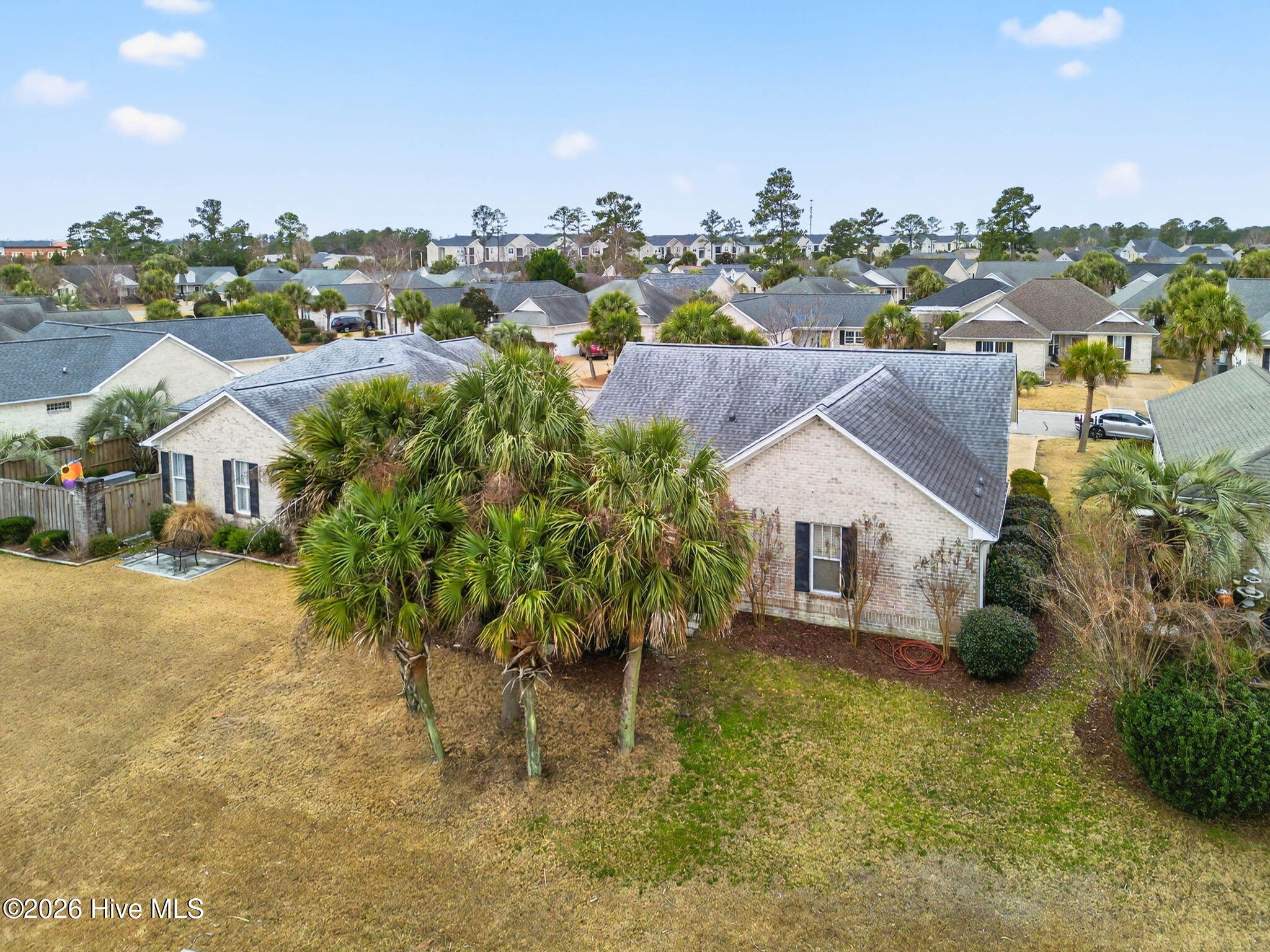 100556001 | Photo 33