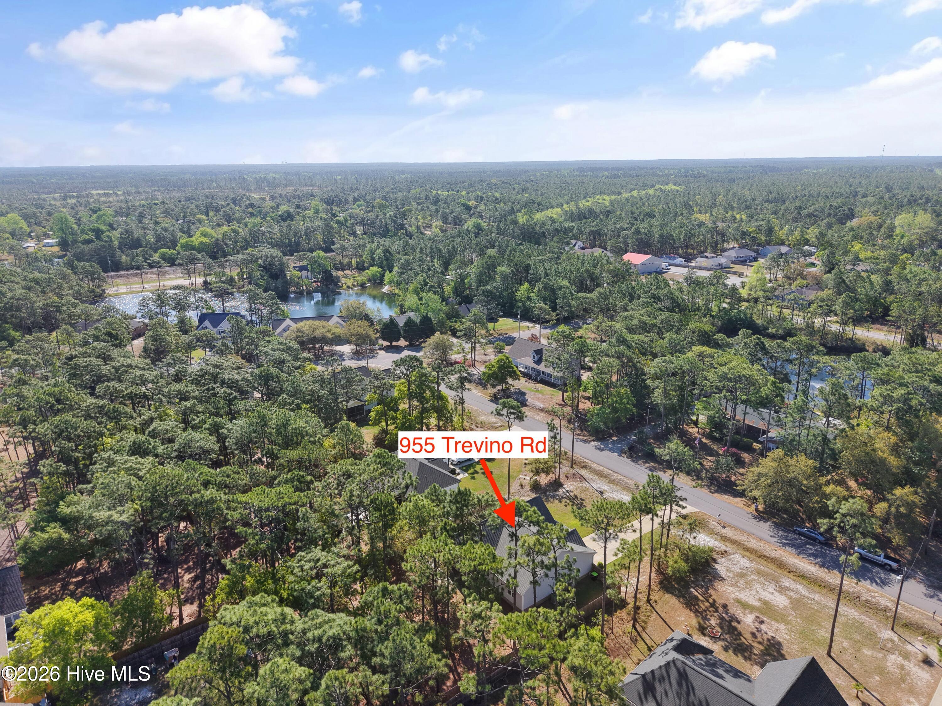 100568051 | Photo 52