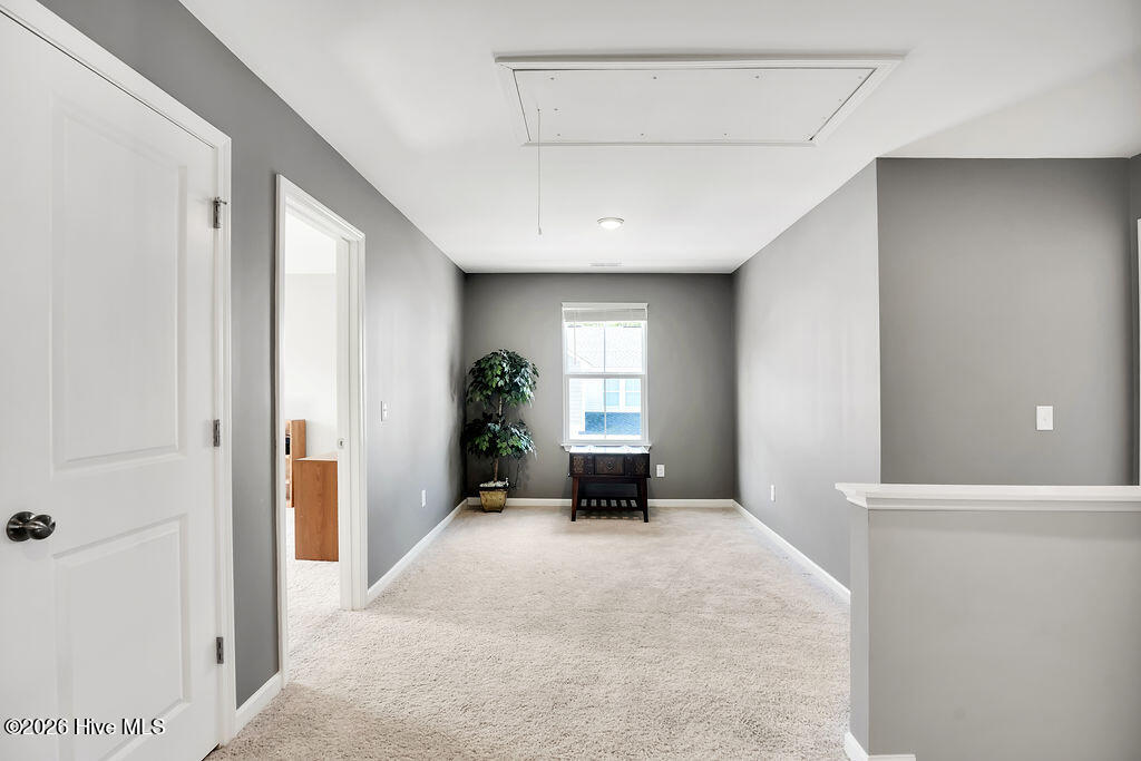 100565667 | Photo 20