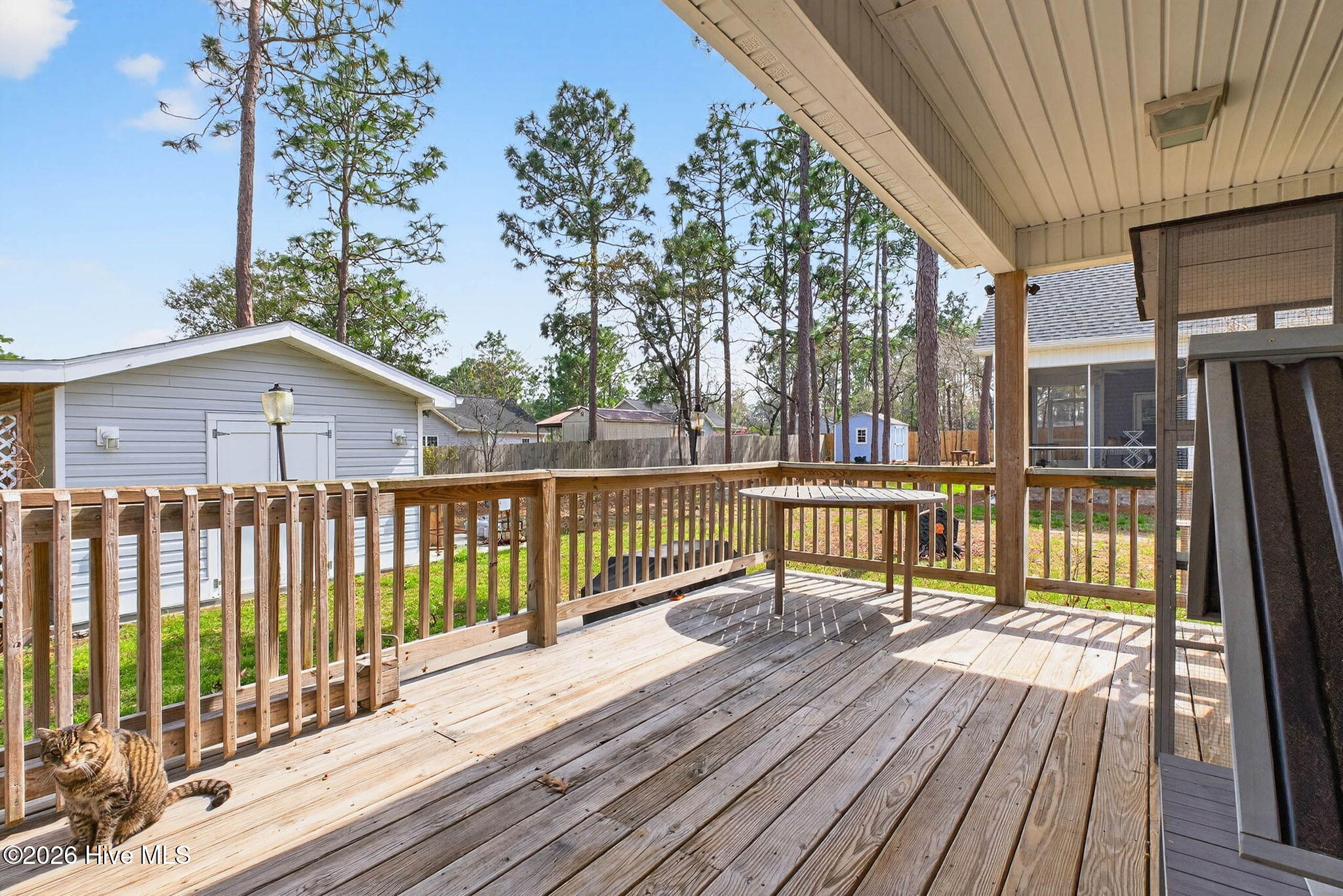 100561727 | Photo 35