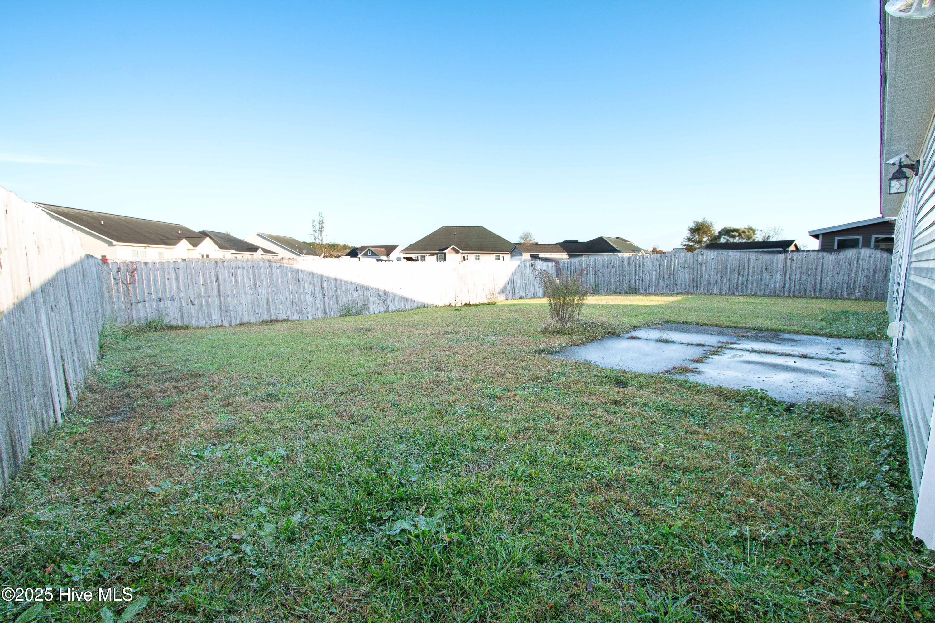 100541237 | Photo 31