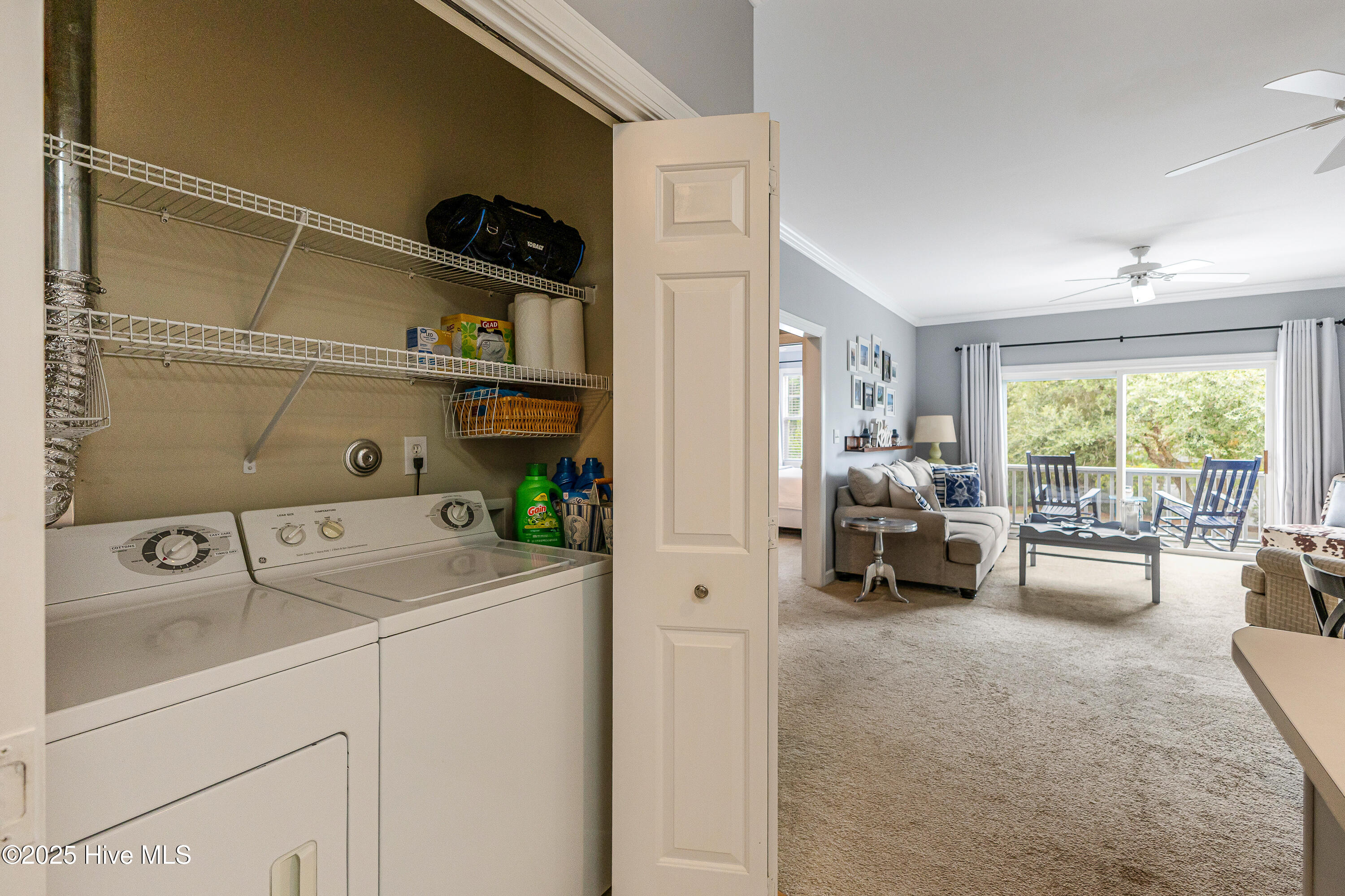 100528014 | Photo 18