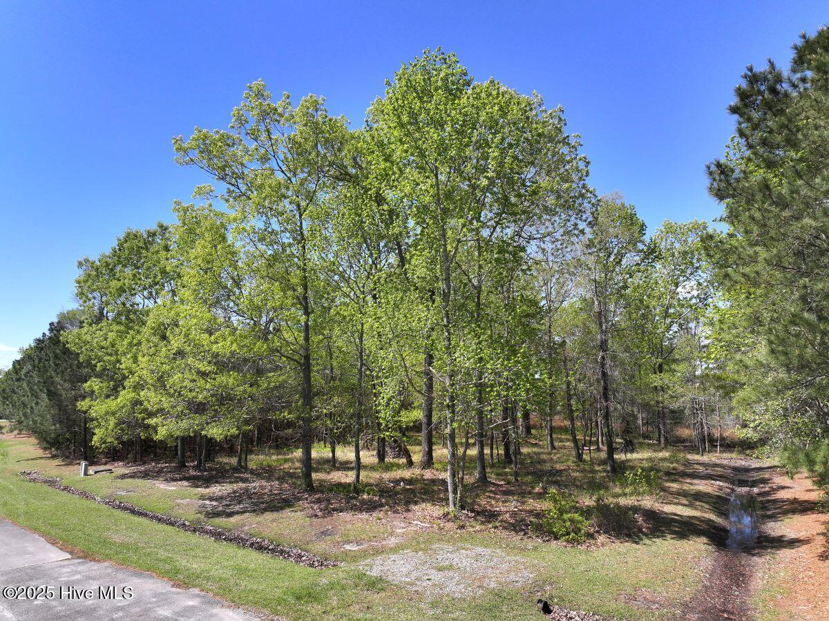 Lot 48 Sunset Point, Belhaven, NC, 27810