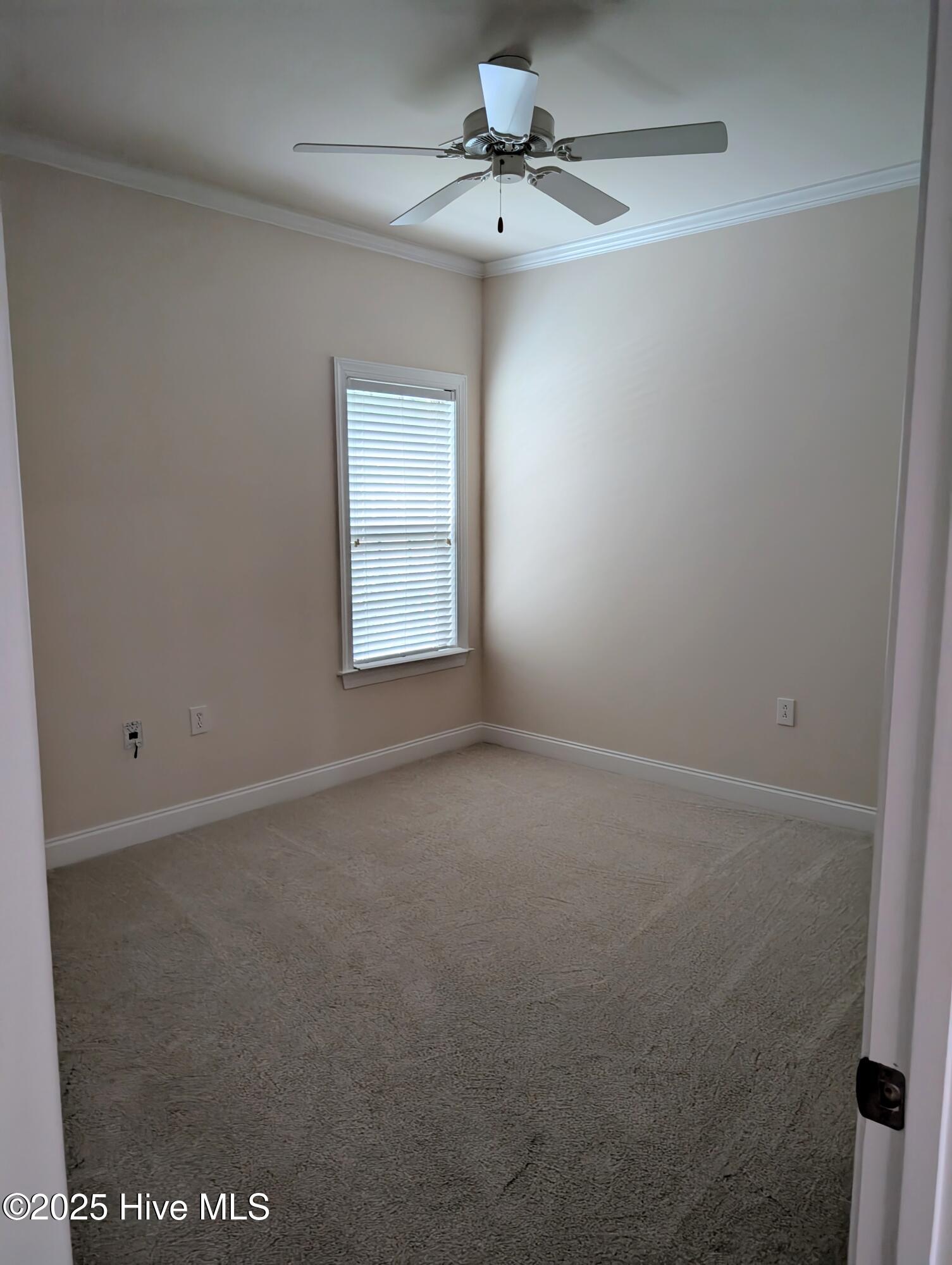 100522751 | Photo 15