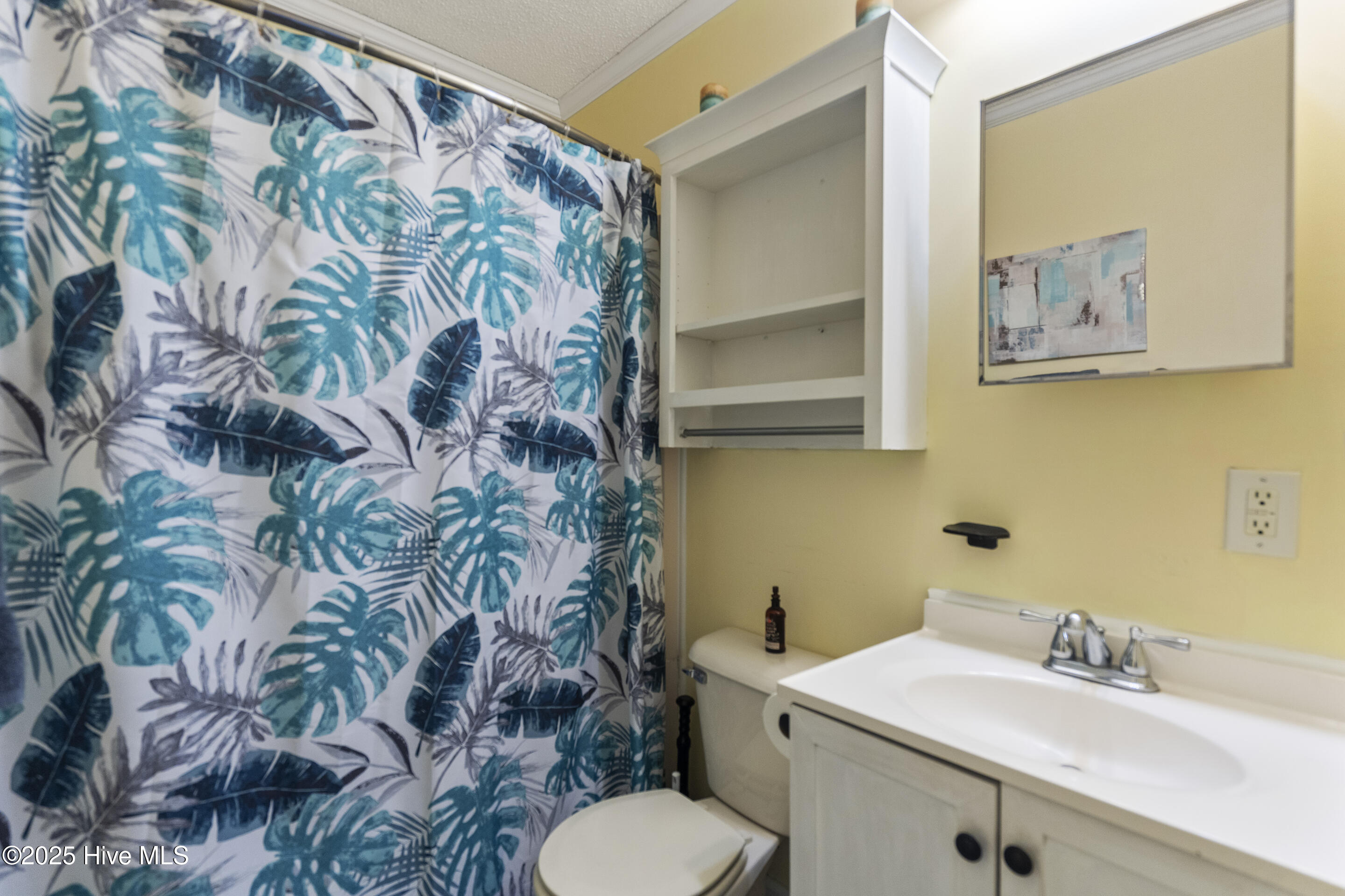 100502561 | Photo 12