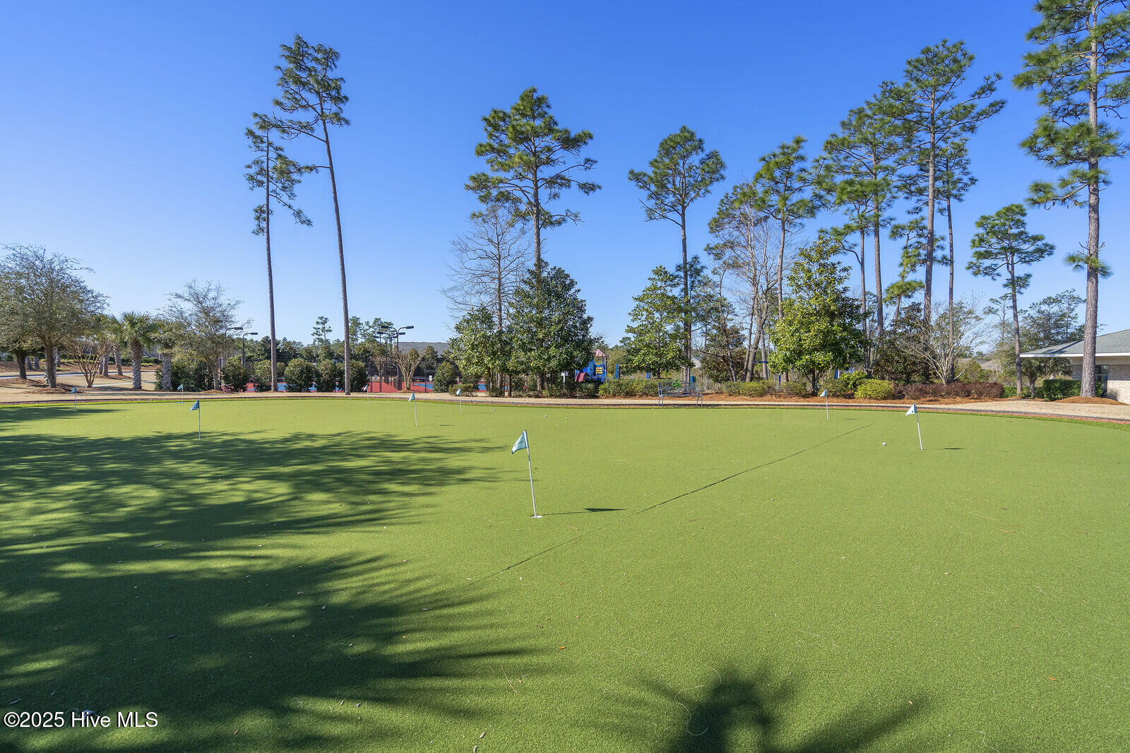 100537559 | Photo 57