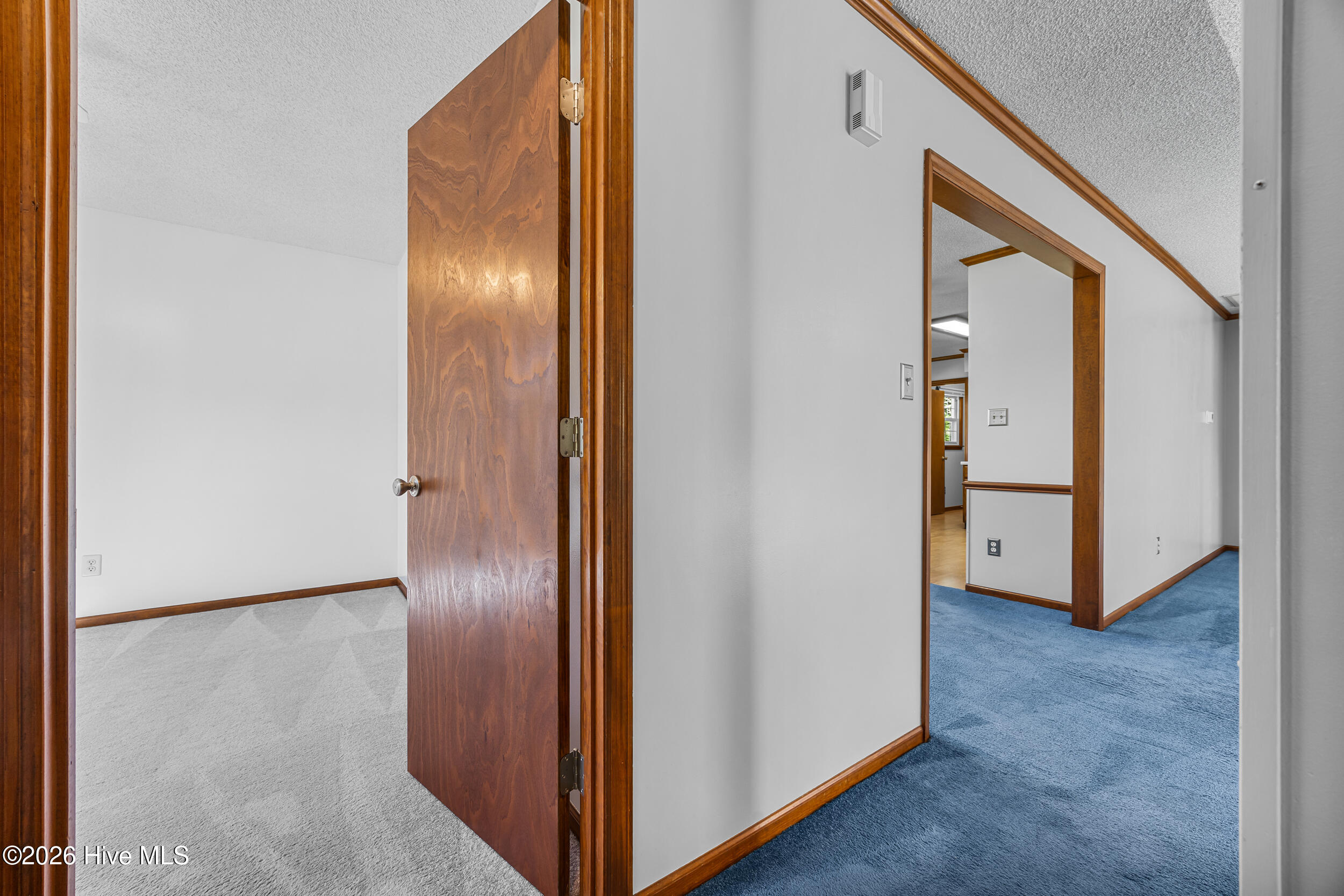 100565895 | Photo 16