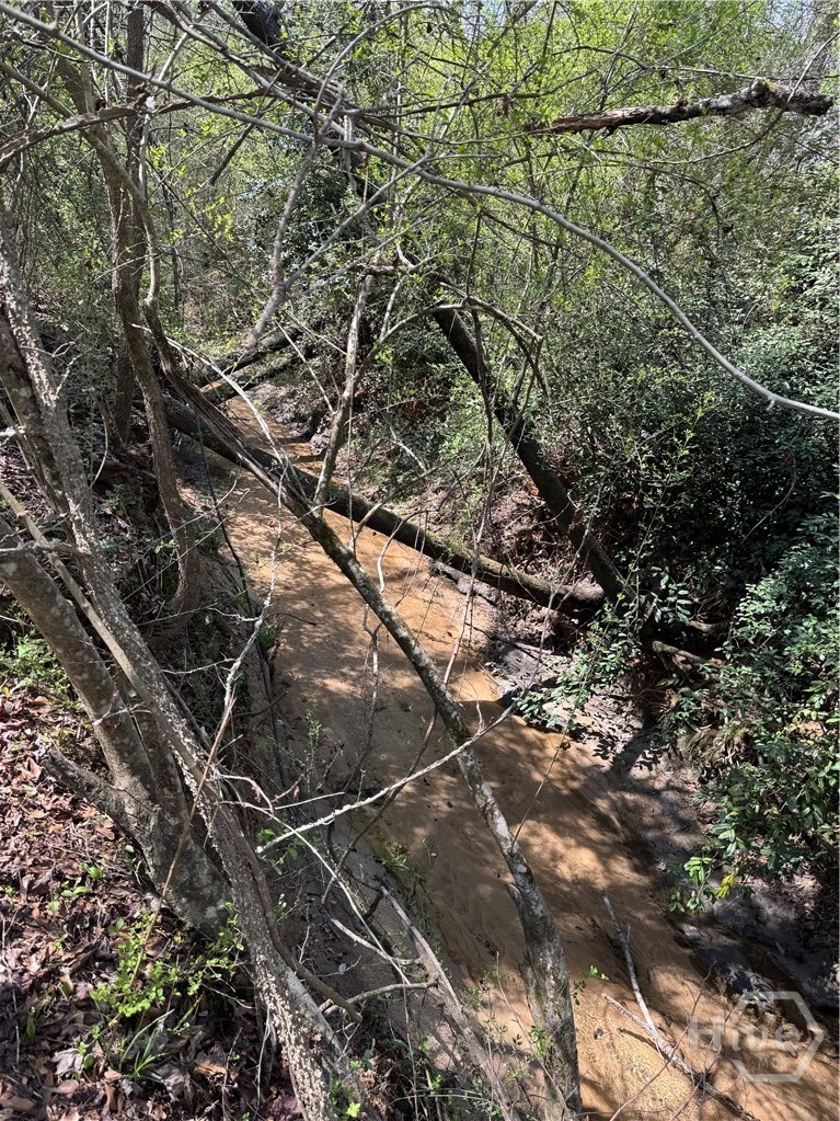 738 Old Mineral Springs Road, Elberton, GA, 30635