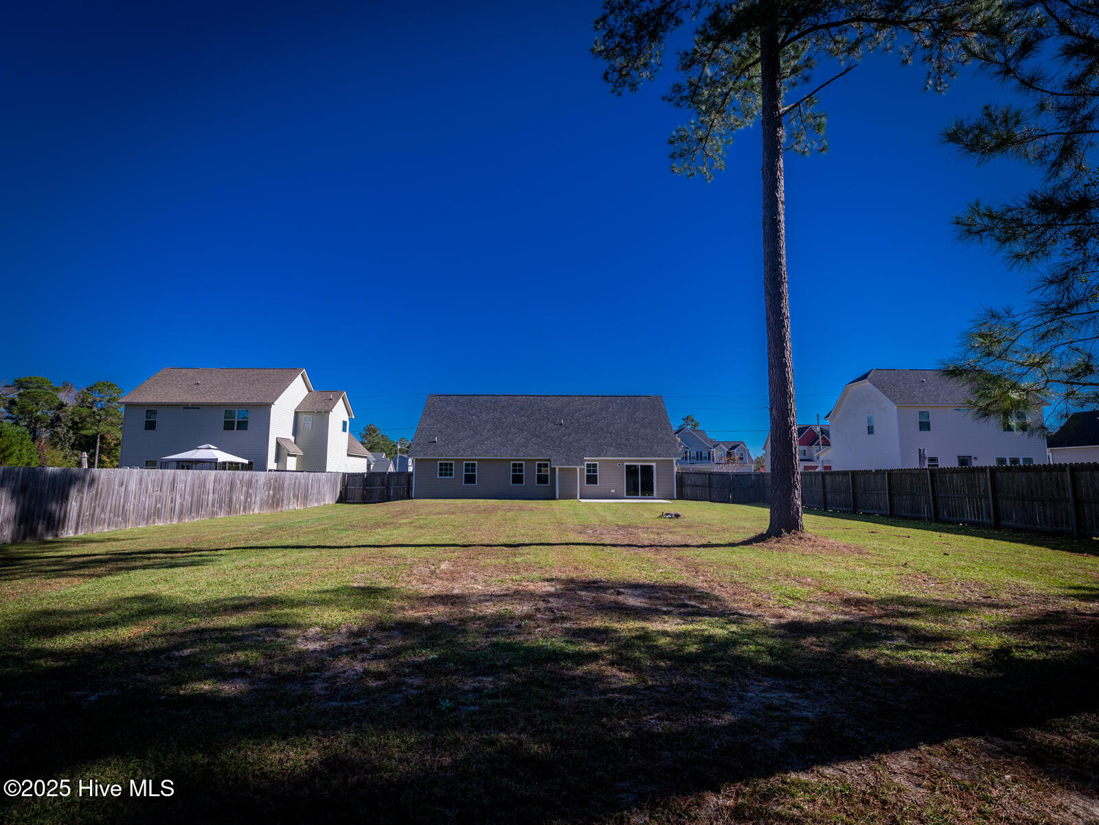 100539425 | Photo 32