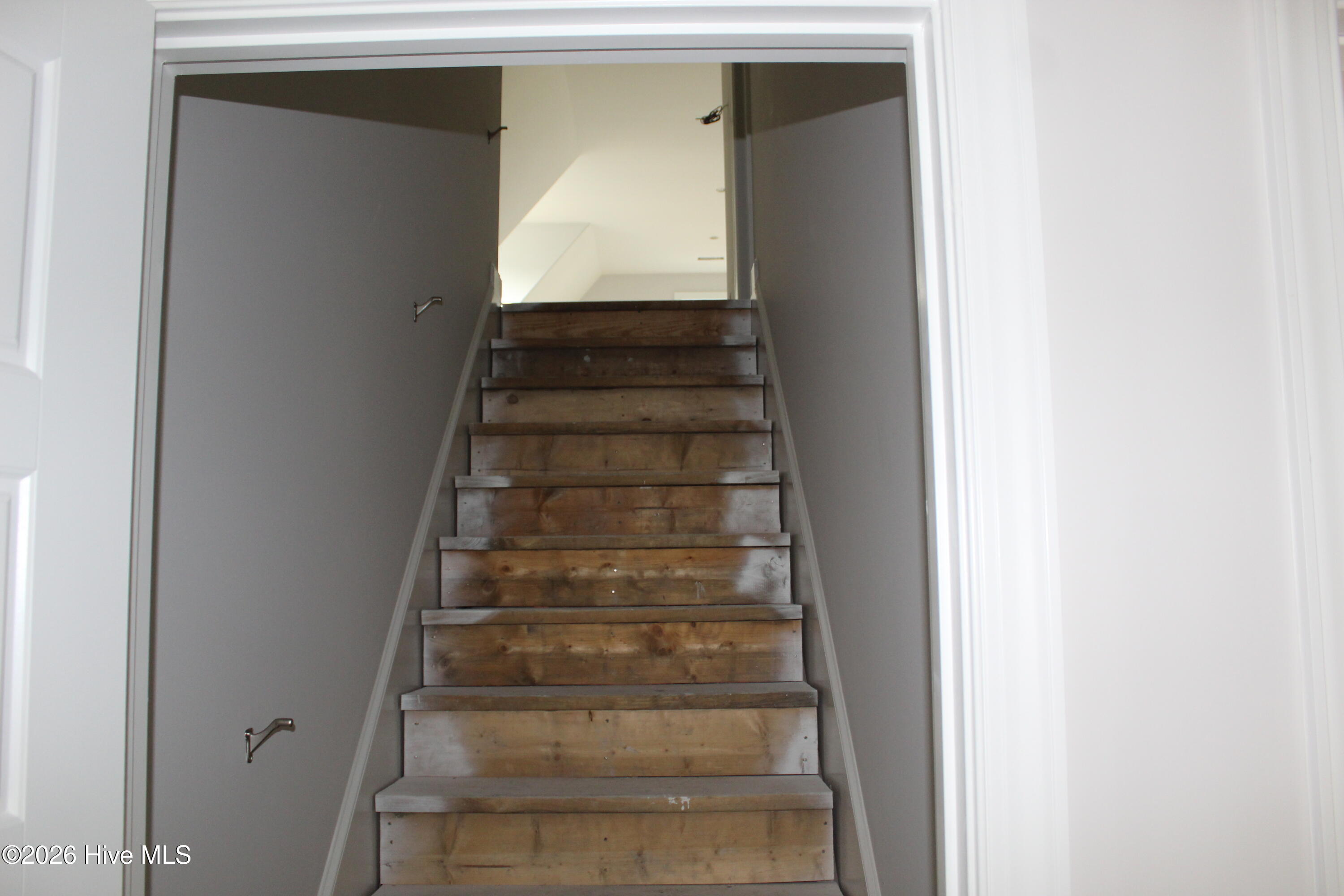 100536128 | Photo 25