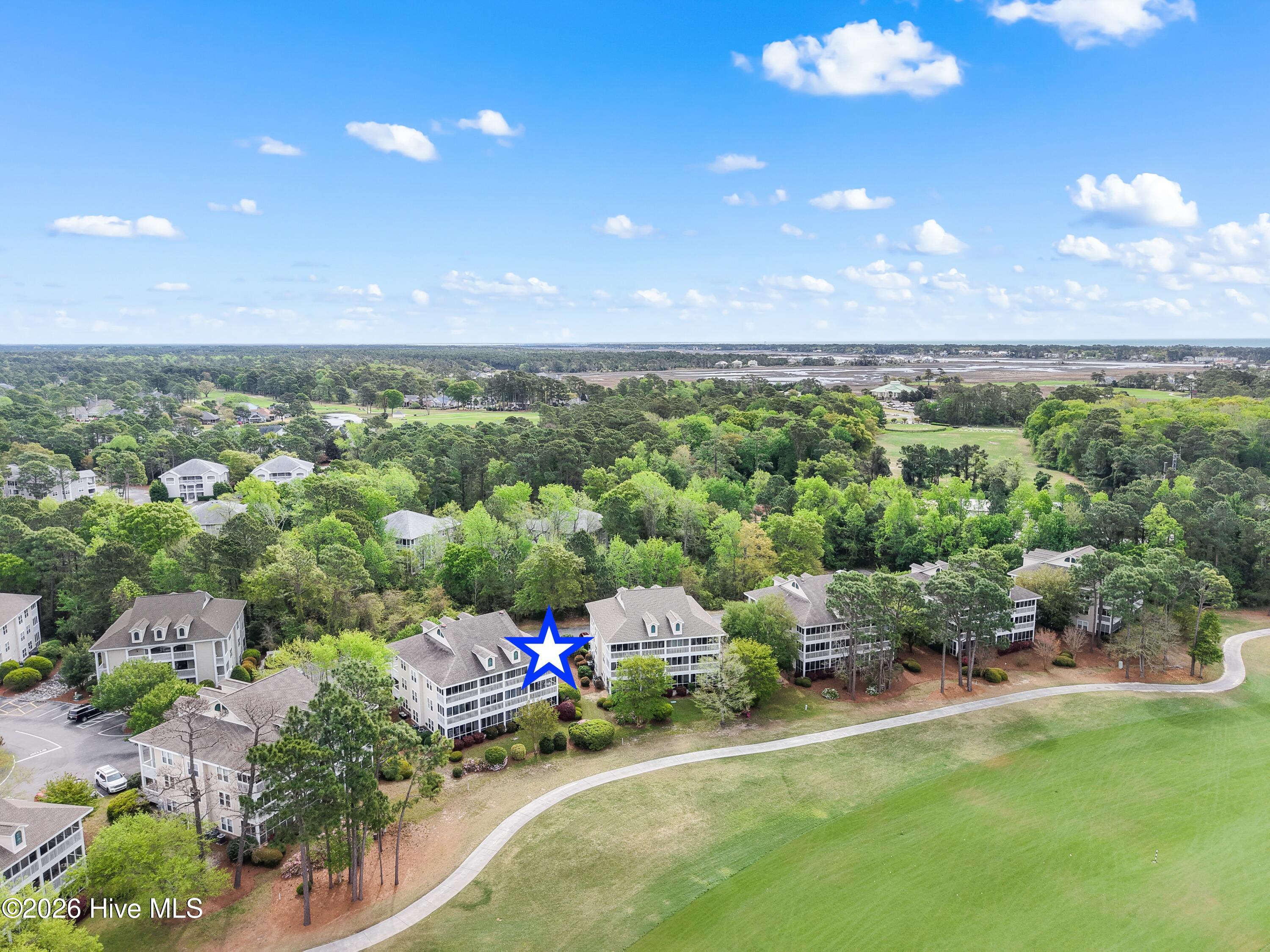 100565554 | Photo 39