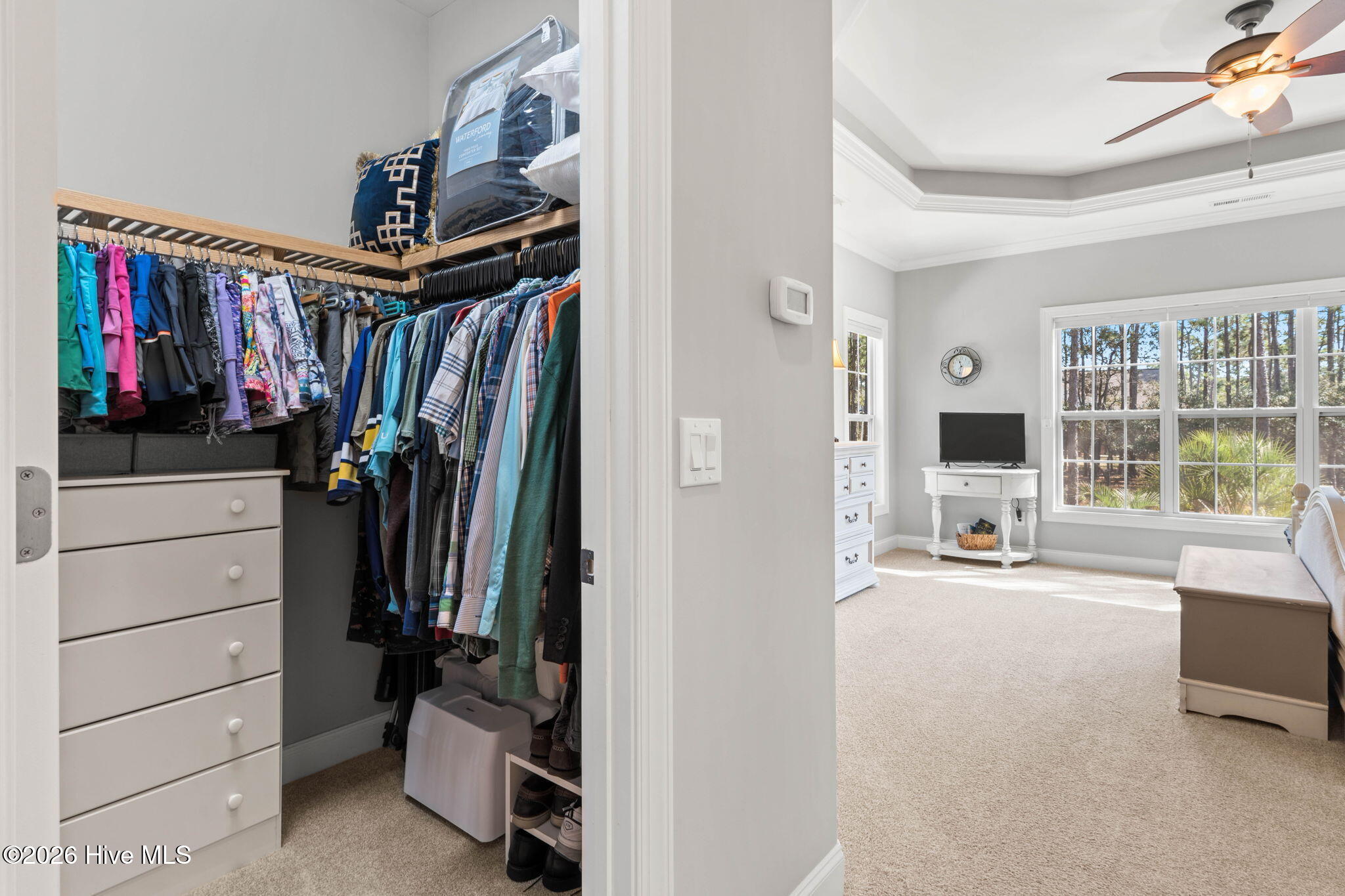 100560981 | Photo 34