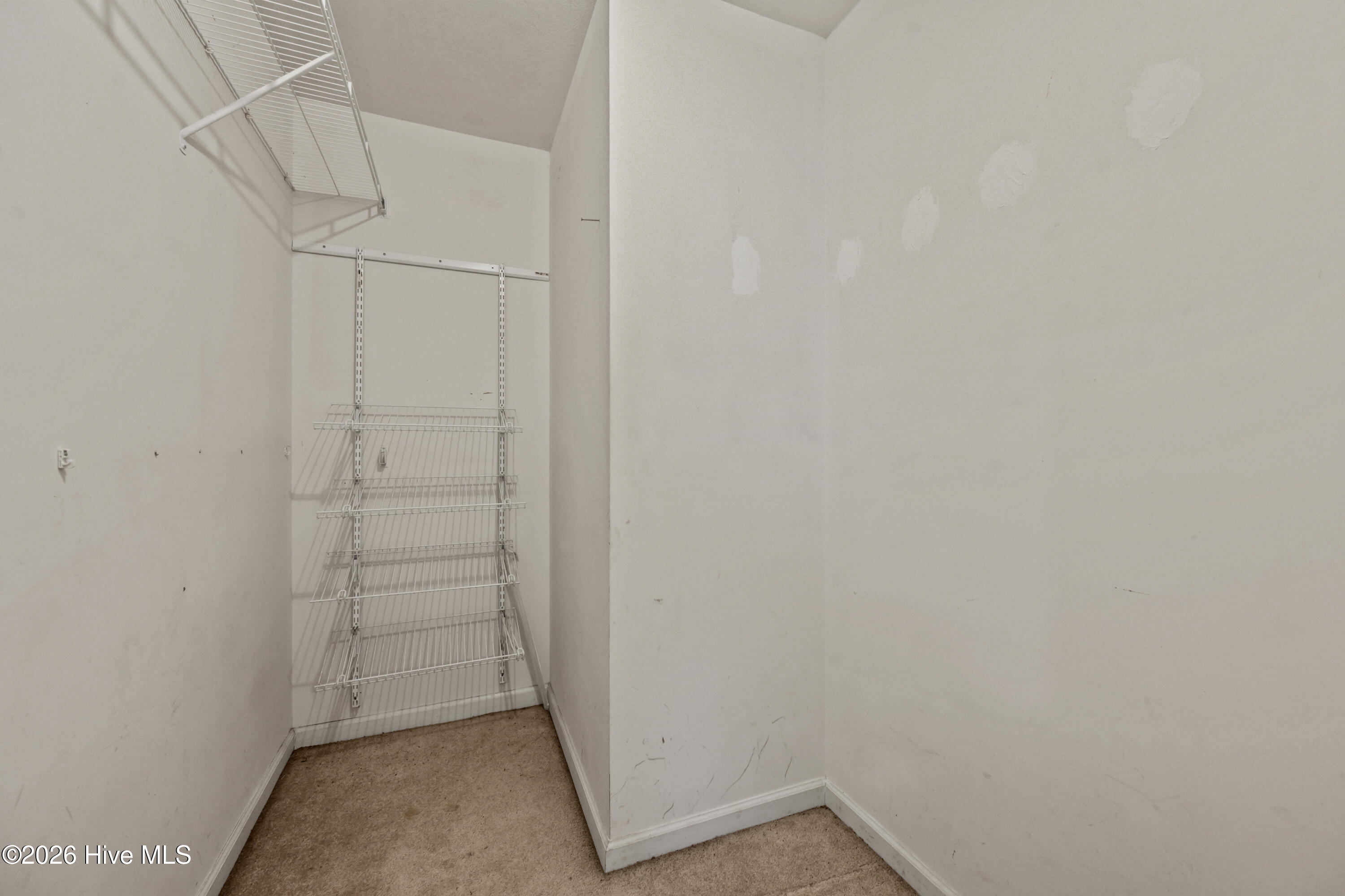 100564292 | Photo 10