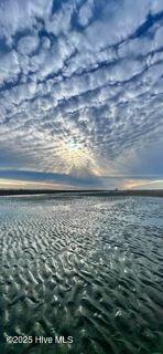 100534626 | Photo 16