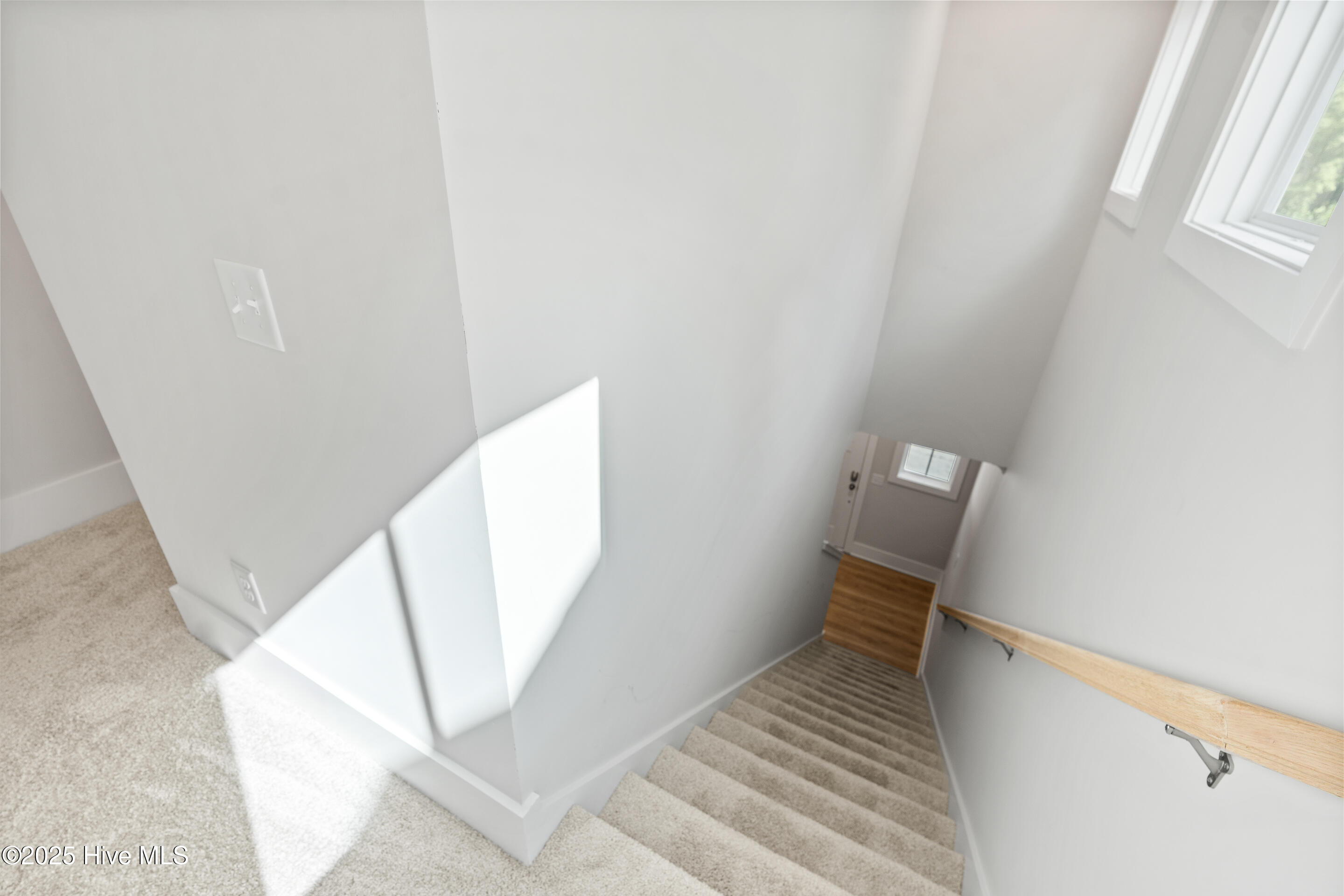 100554915 | Photo 18