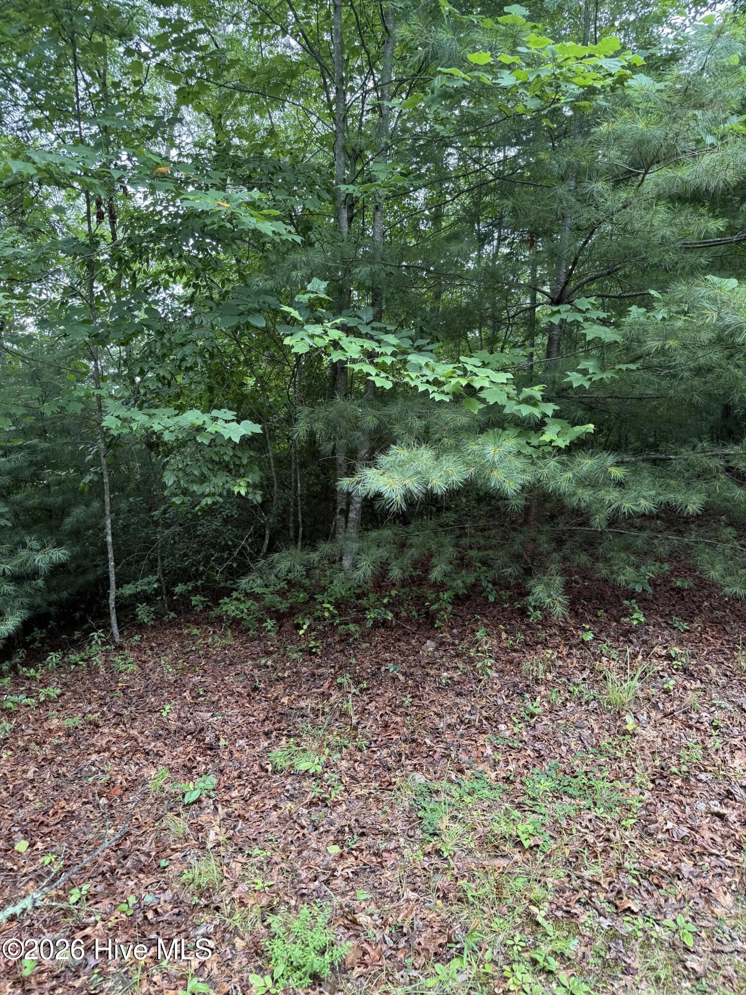 4th image of Lot 14 Mountain Vista Ln, Topton, NC 28781 | MLS# 100593363