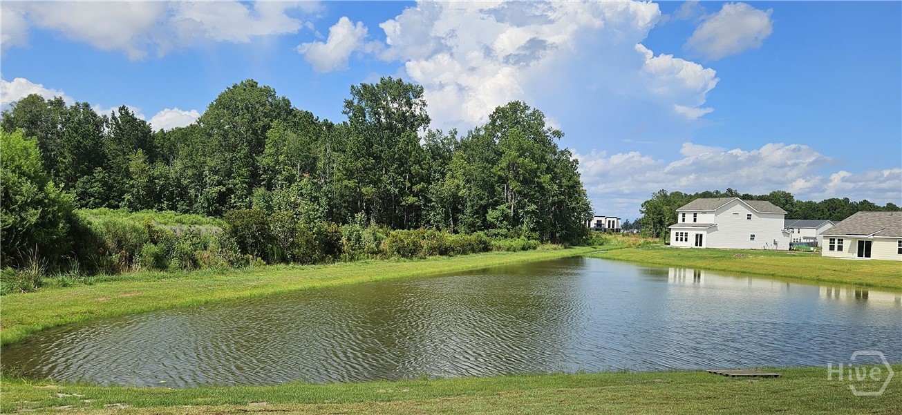 Back Yard Lagoon View