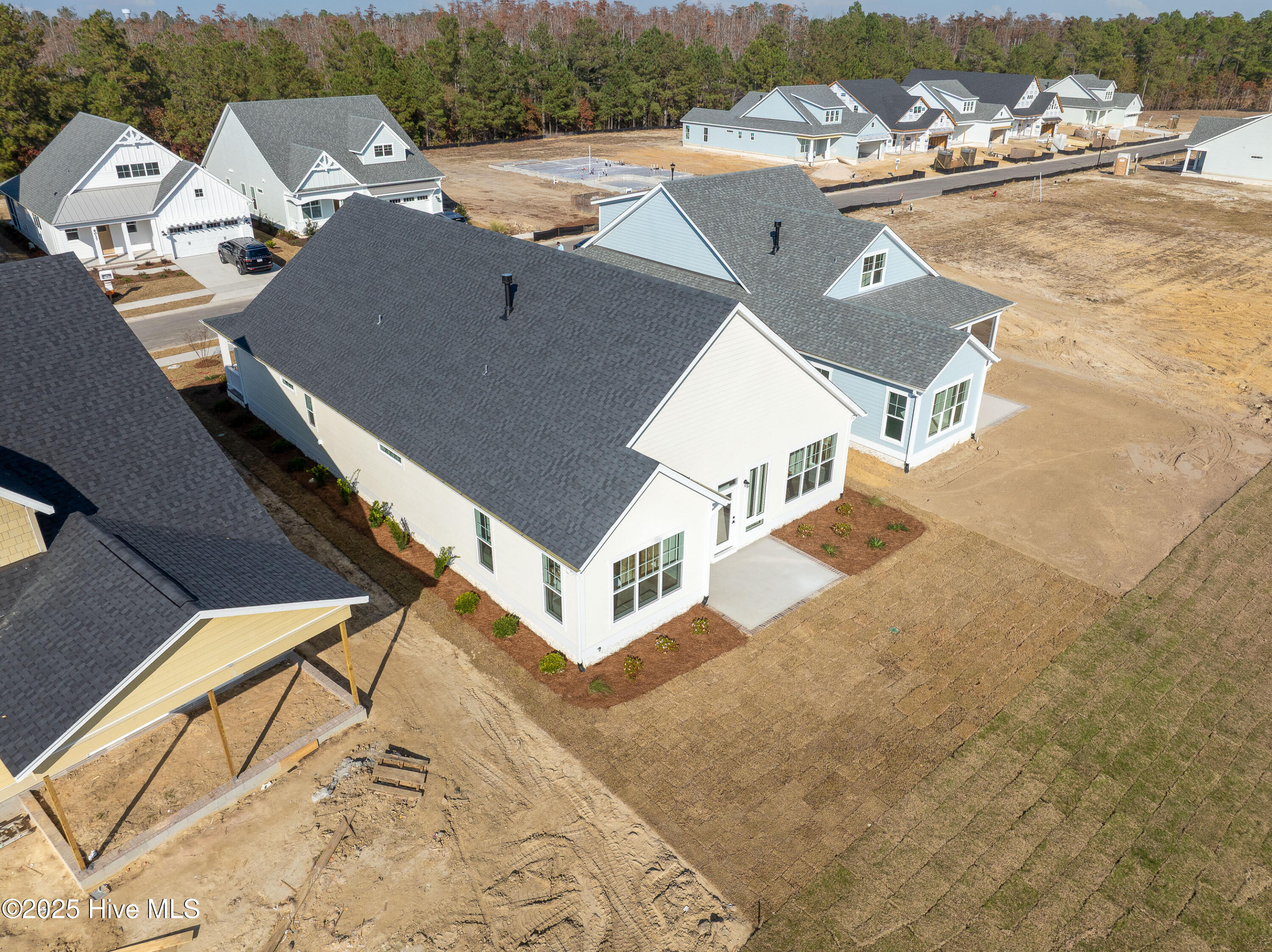 100531959 | Photo 49