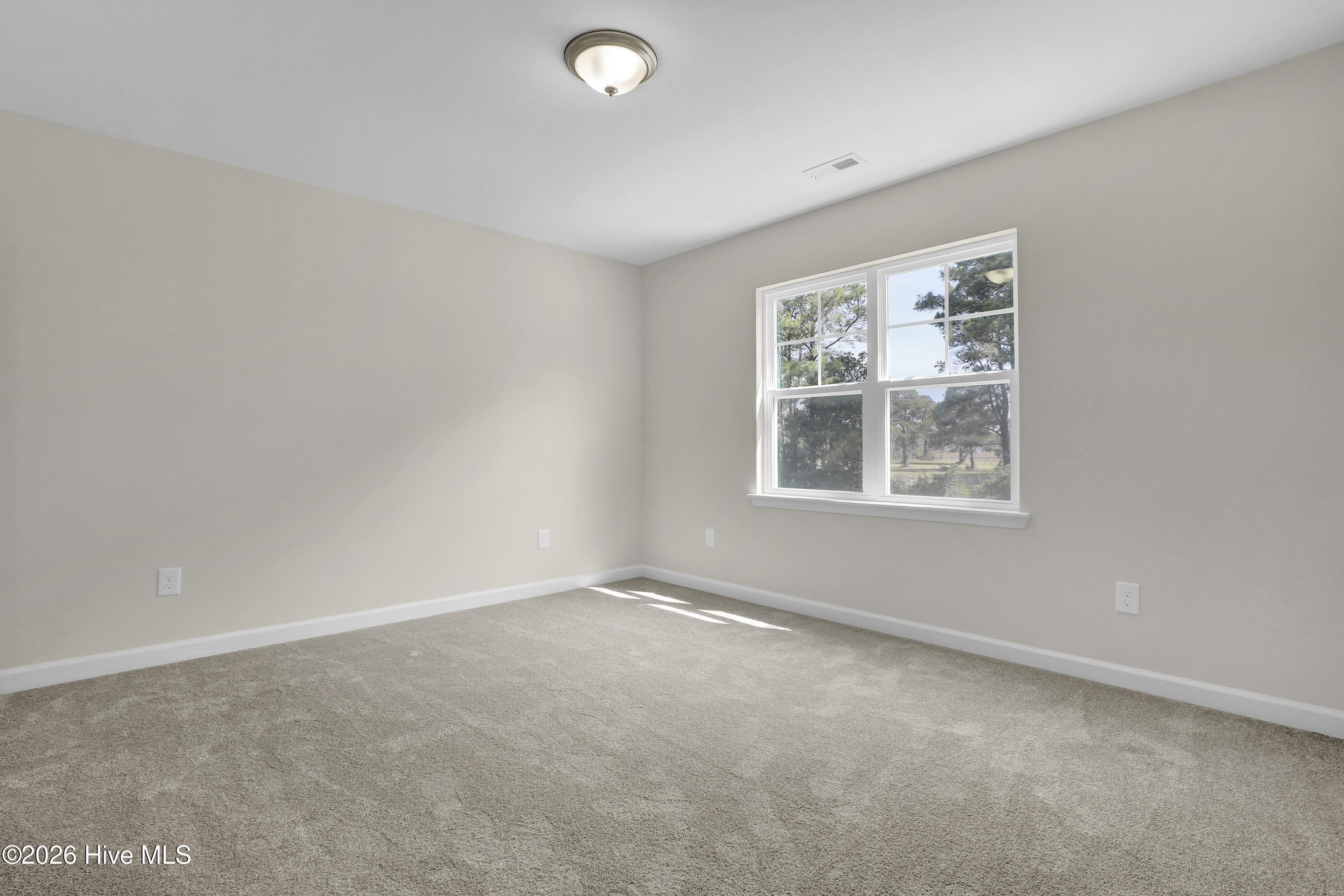 100488784 | Photo 20