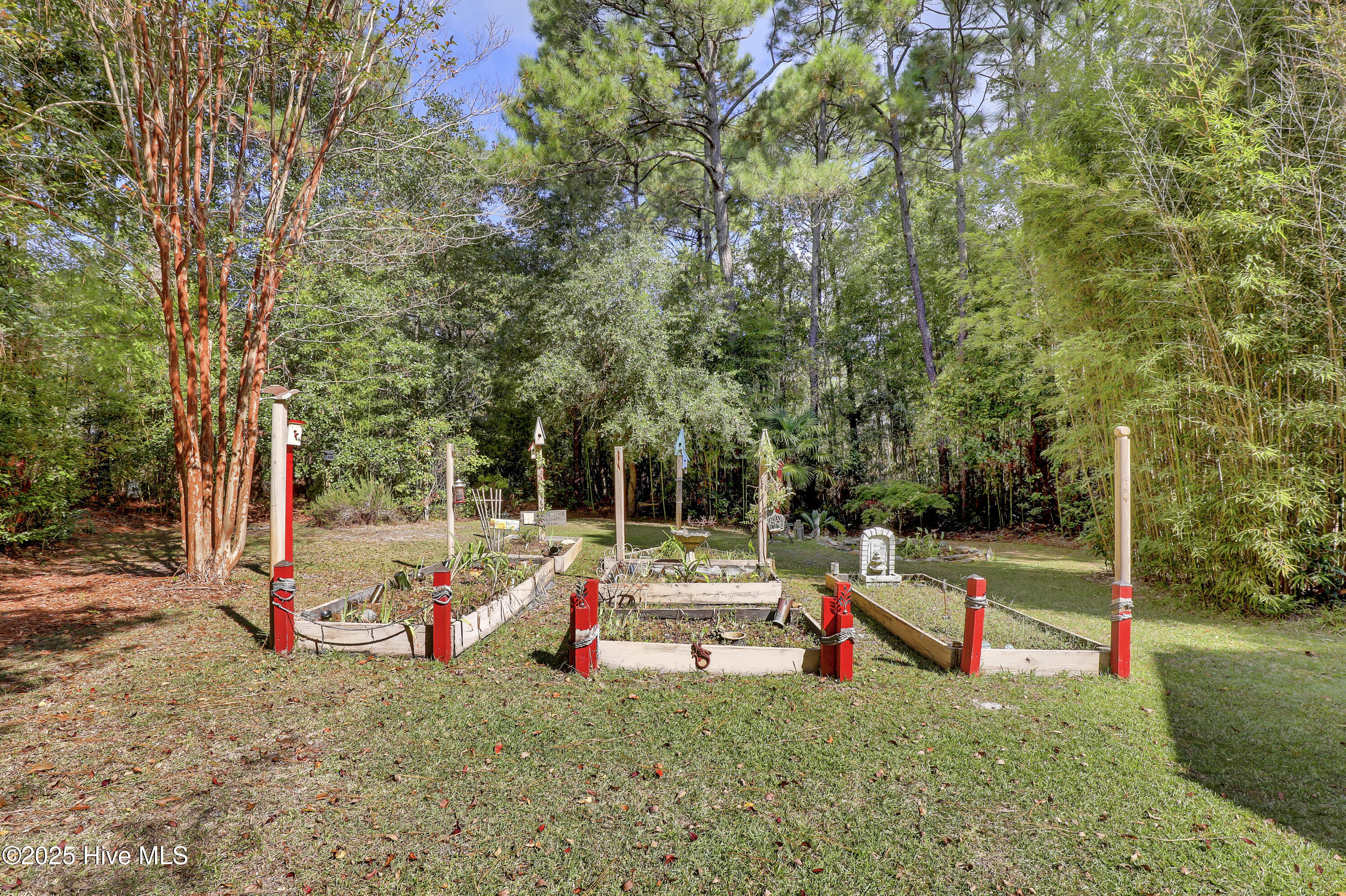 100532986 | Photo 40