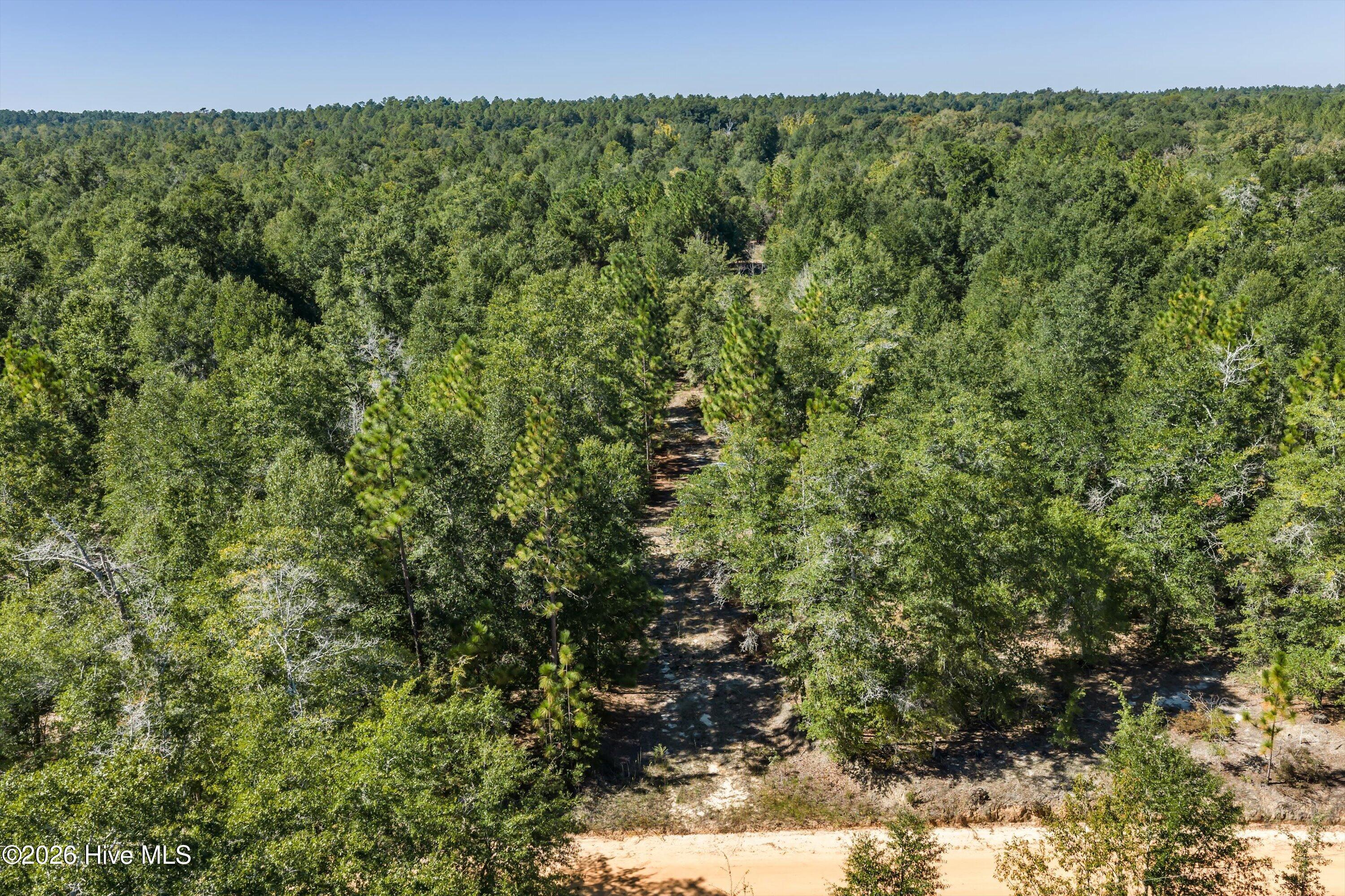 Photo 3 of Land for sale at 0000 Mary Rawls Rd, Wagener, SC 29164 | MLS# 100609229 | Listing updated on 2026-10-09