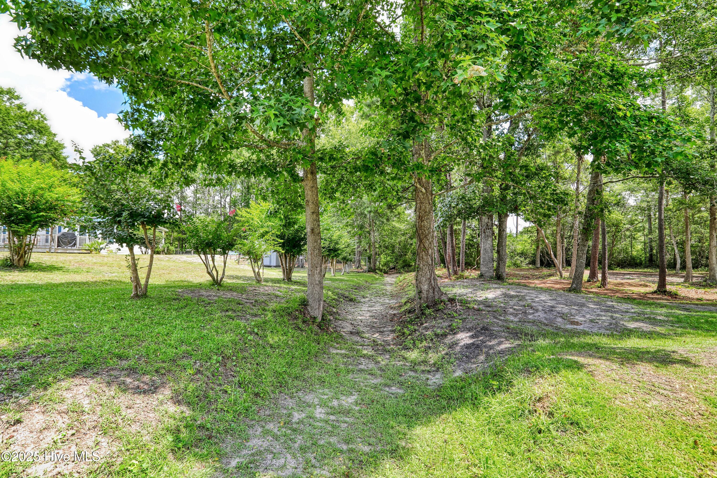 100517684 | Photo 53