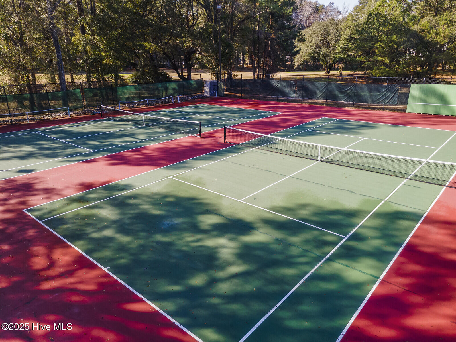 100538258 | Photo 46