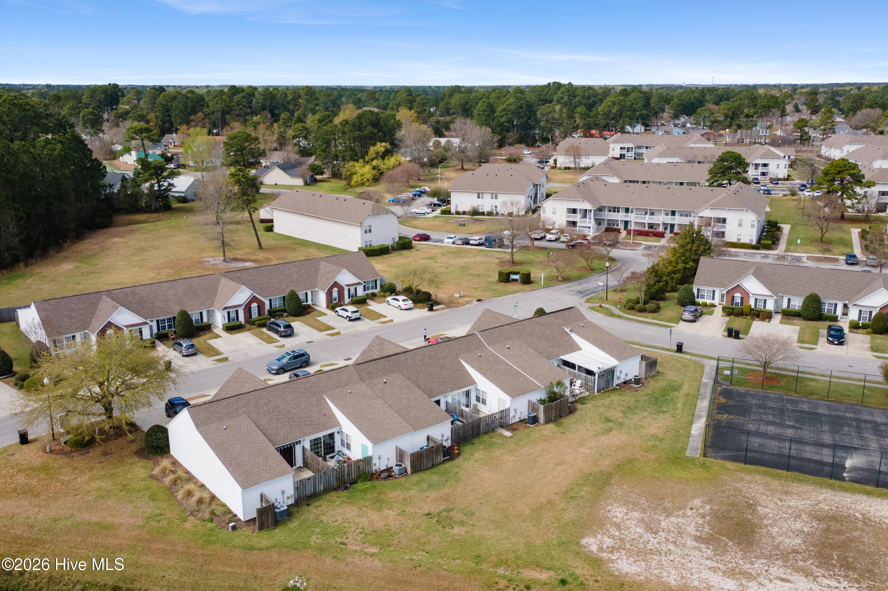 100559997 | Photo 15