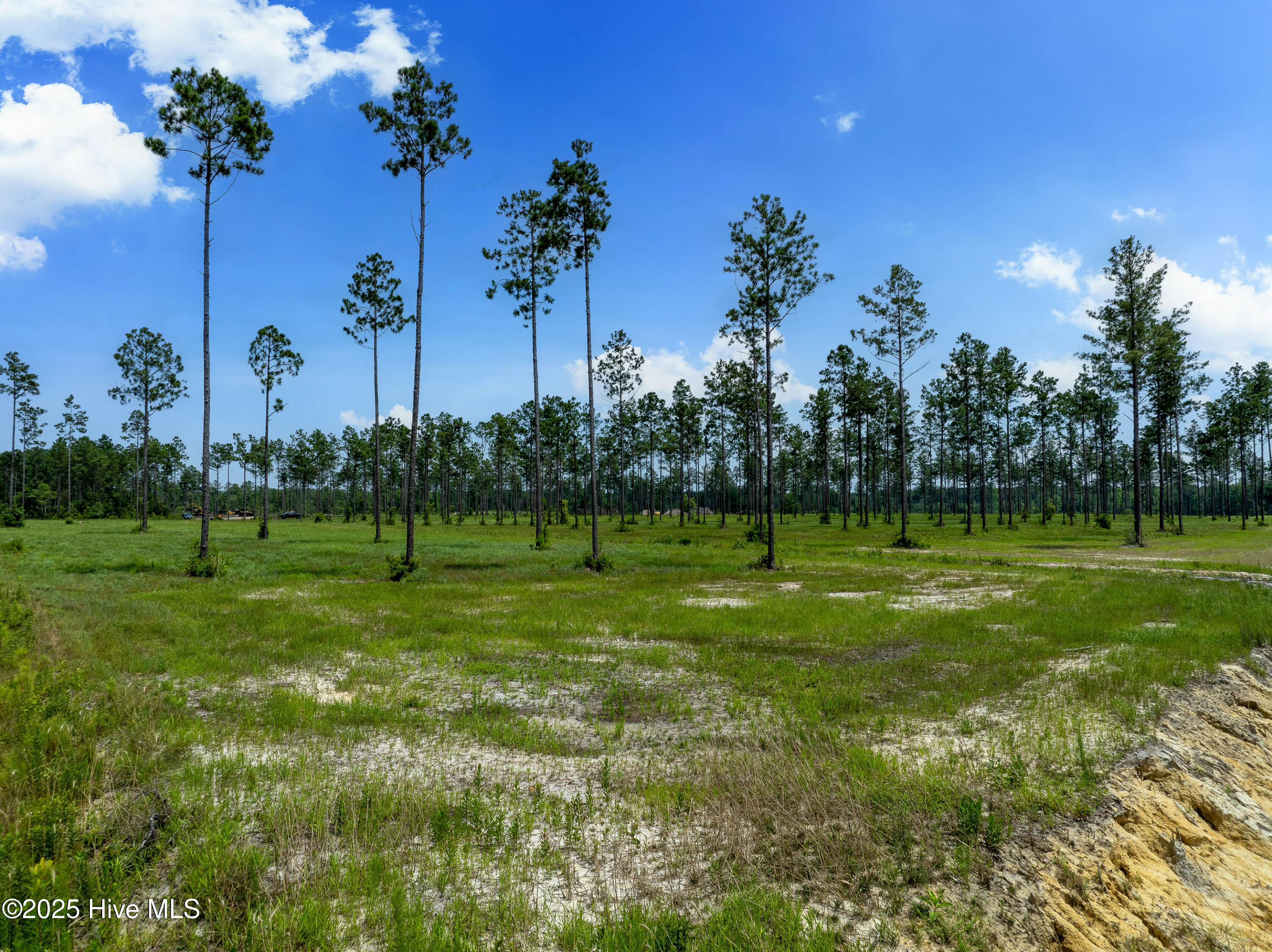 100520208 | Photo 21