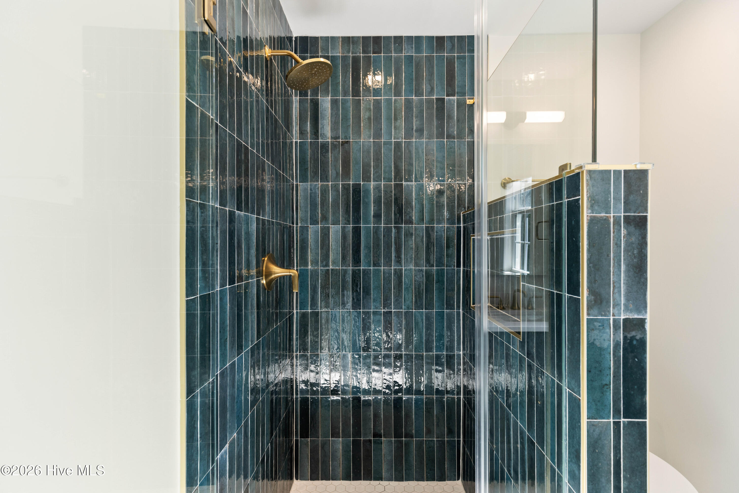 100560916 | Photo 67