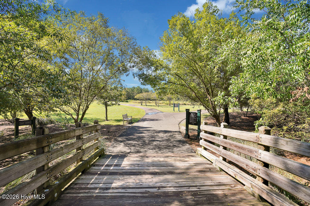 100565235 | Photo 154