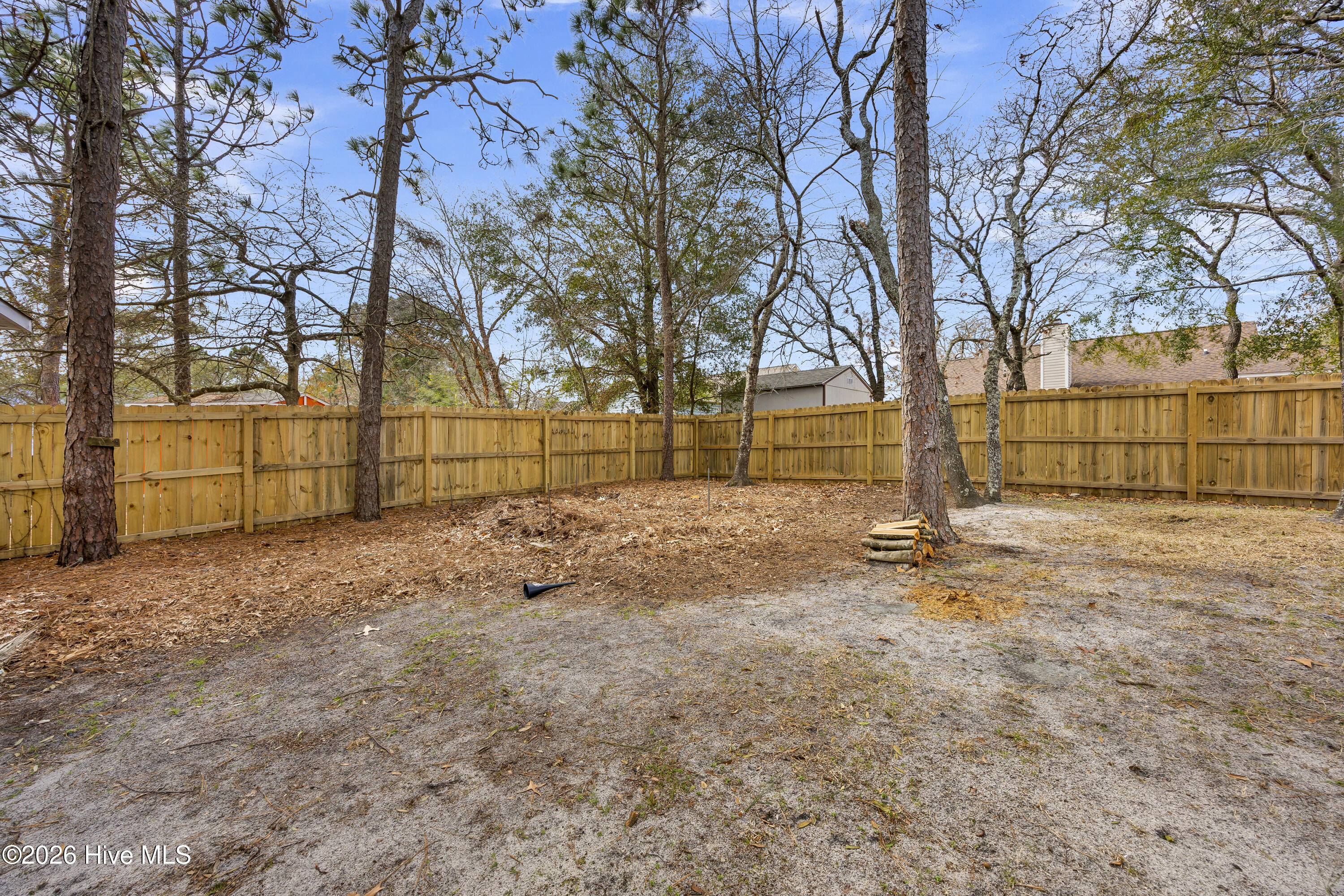 100555575 | Photo 22