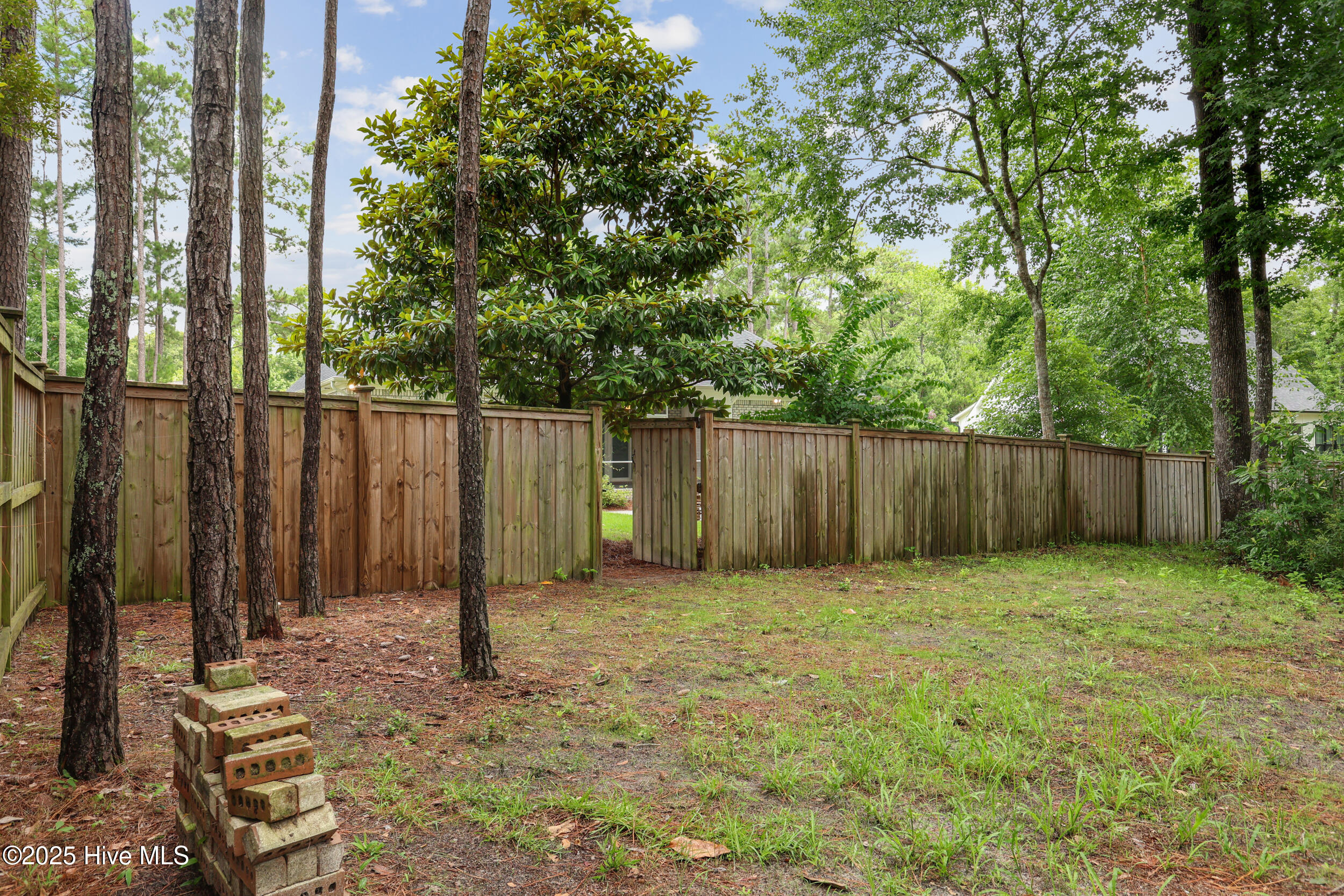 100518241 | Photo 38