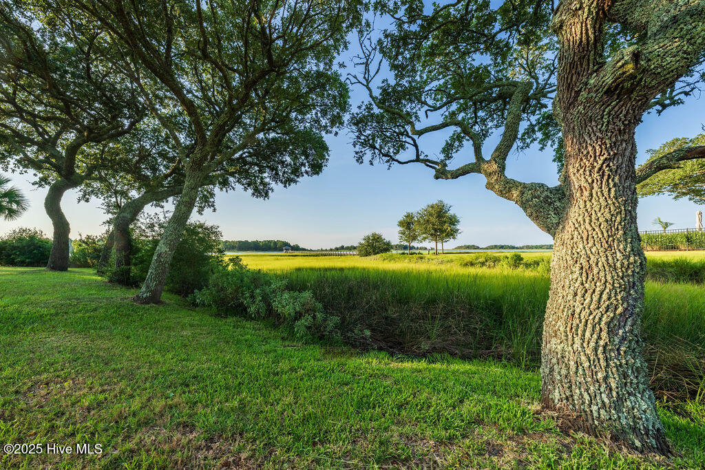 100521918 | Photo 14