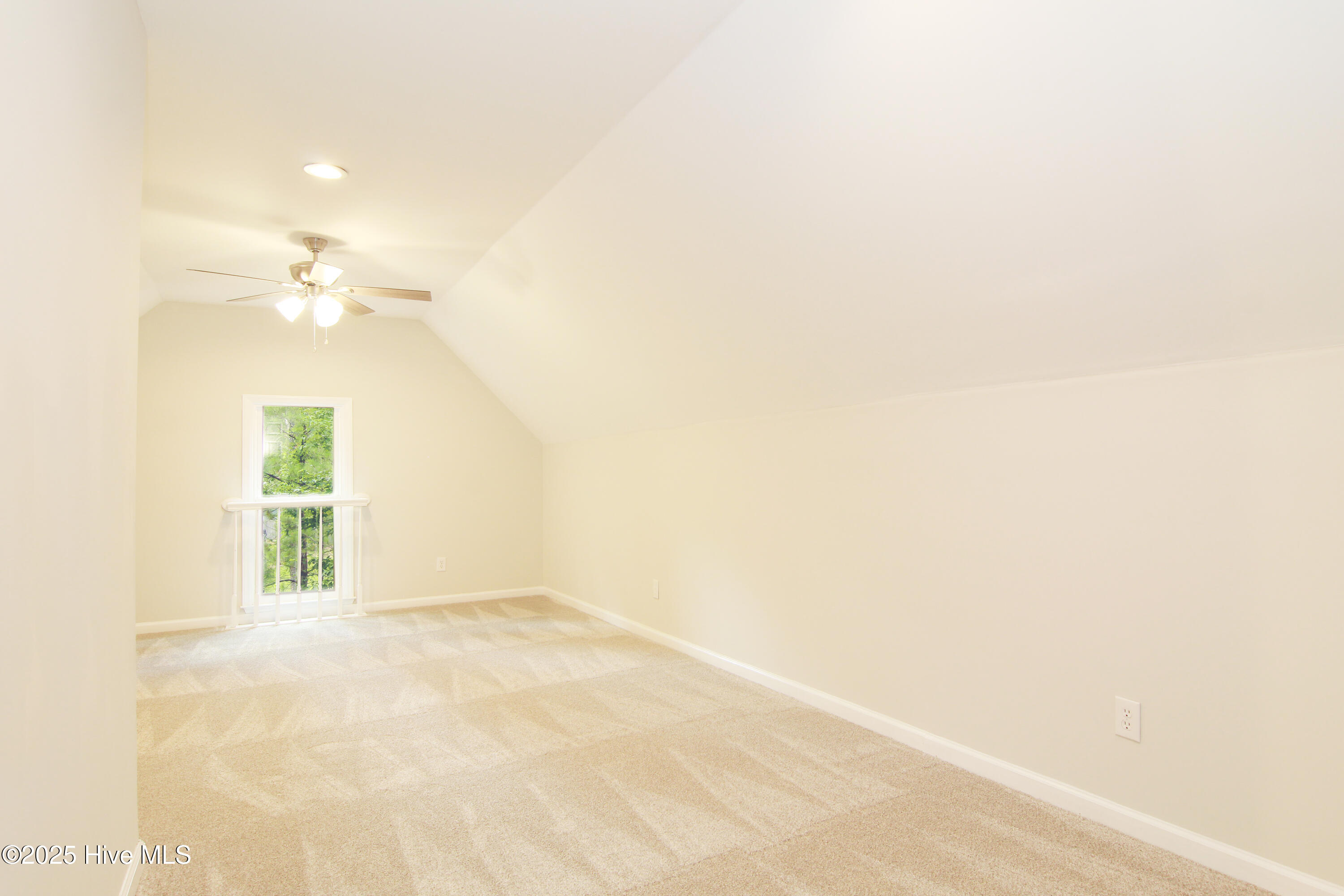 100517489 | Photo 37