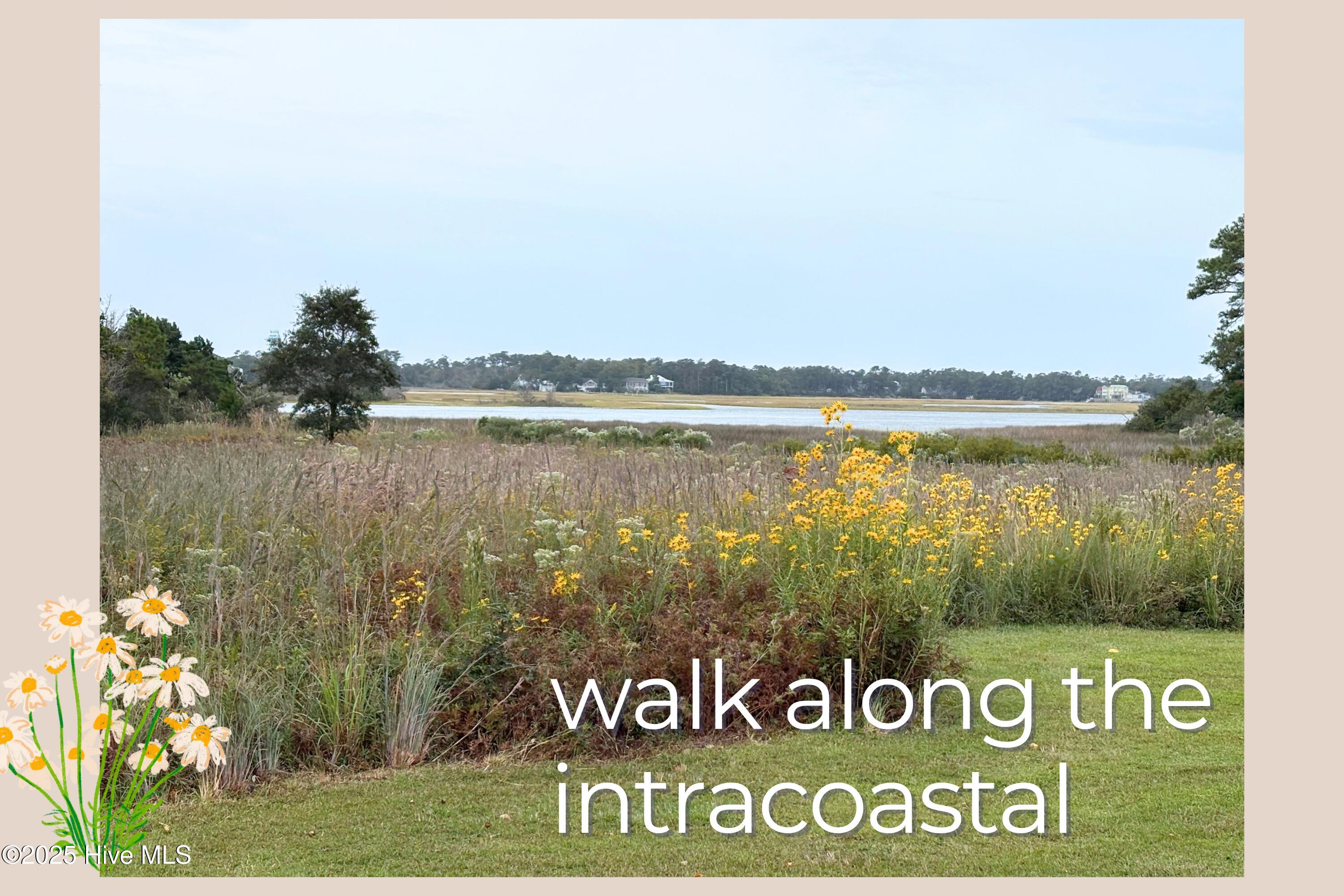 100535448 | Photo 11