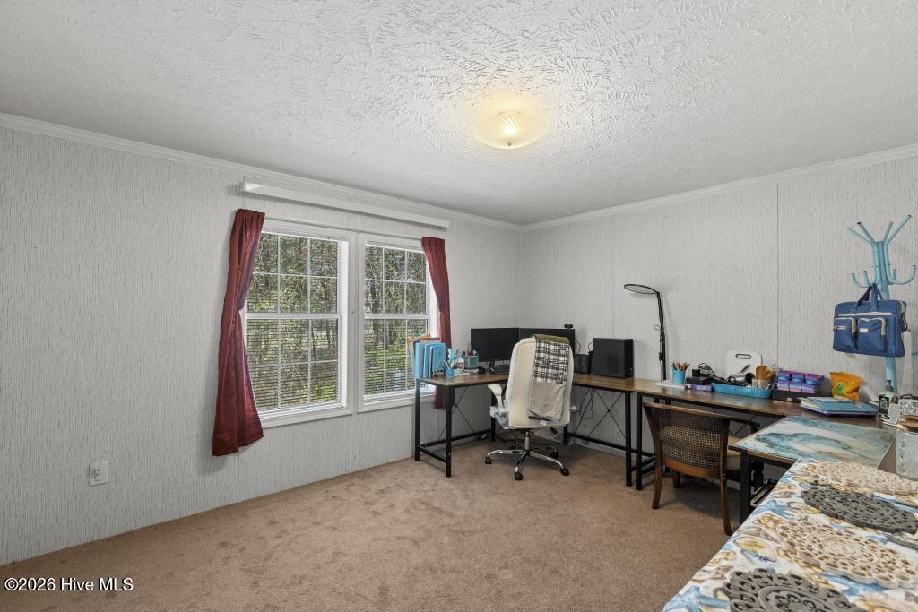 100570291 | Photo 15