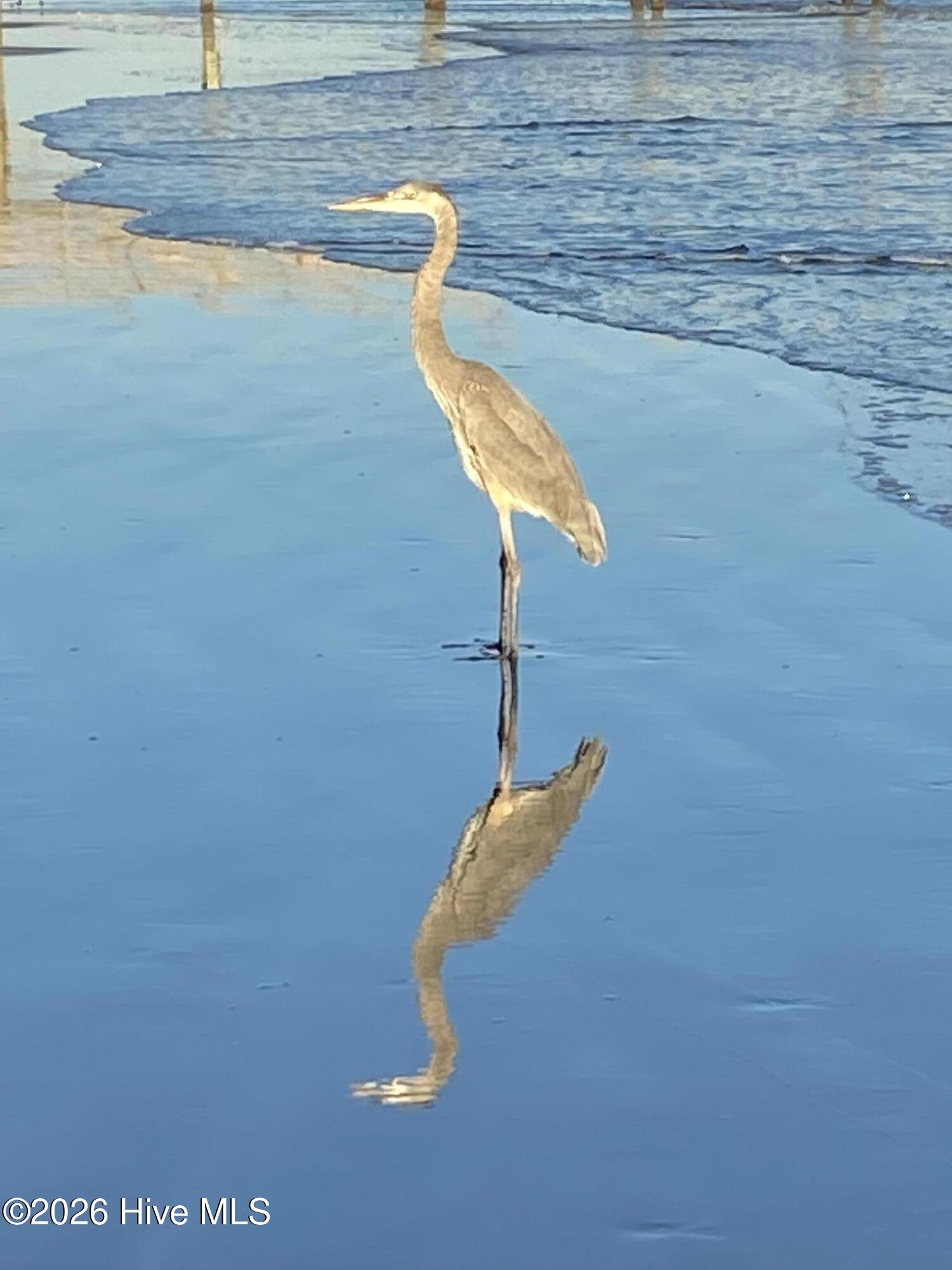 100567437 | Photo 30